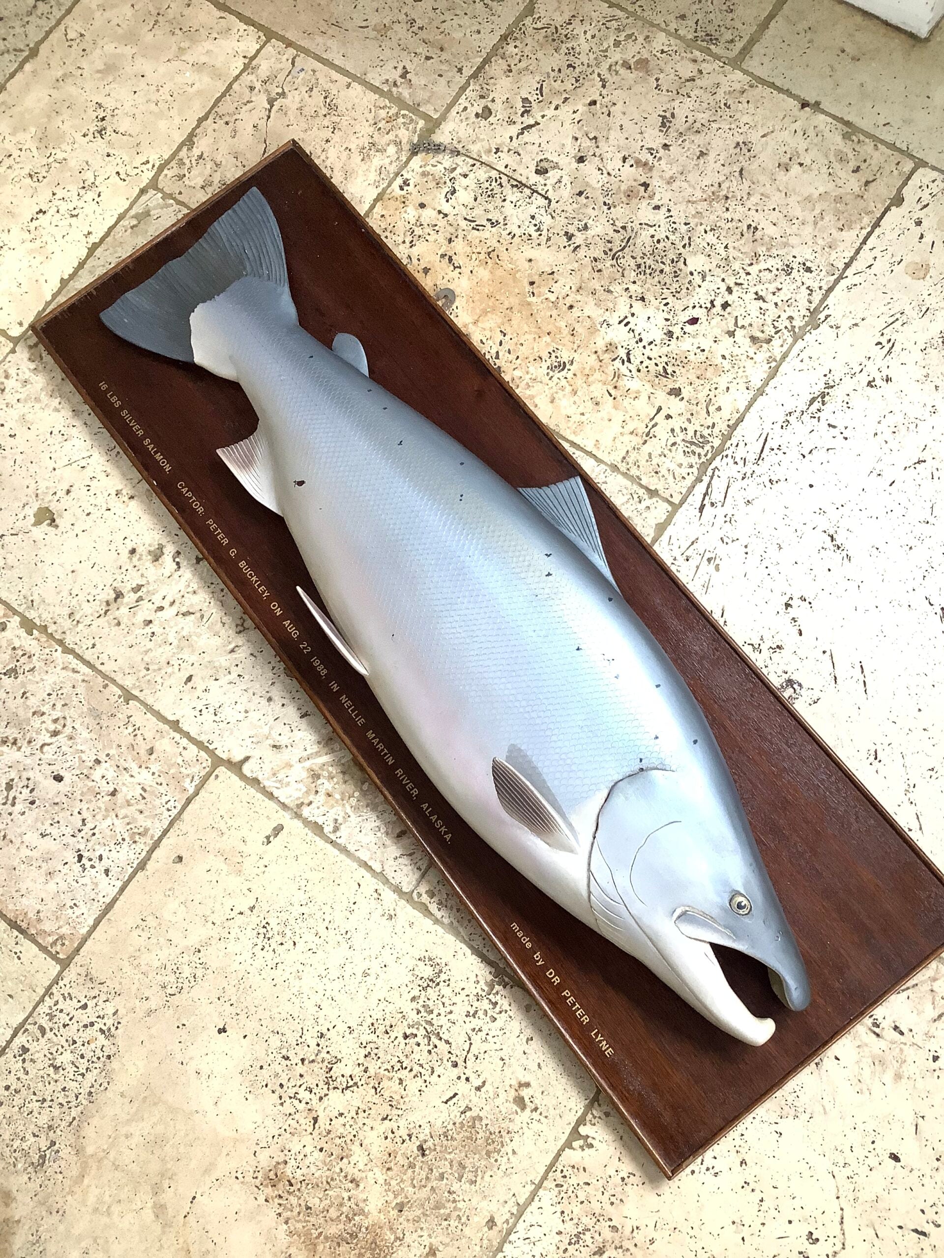 A Half Block Wood Carved Salmon on a Mahogany’s Display Board