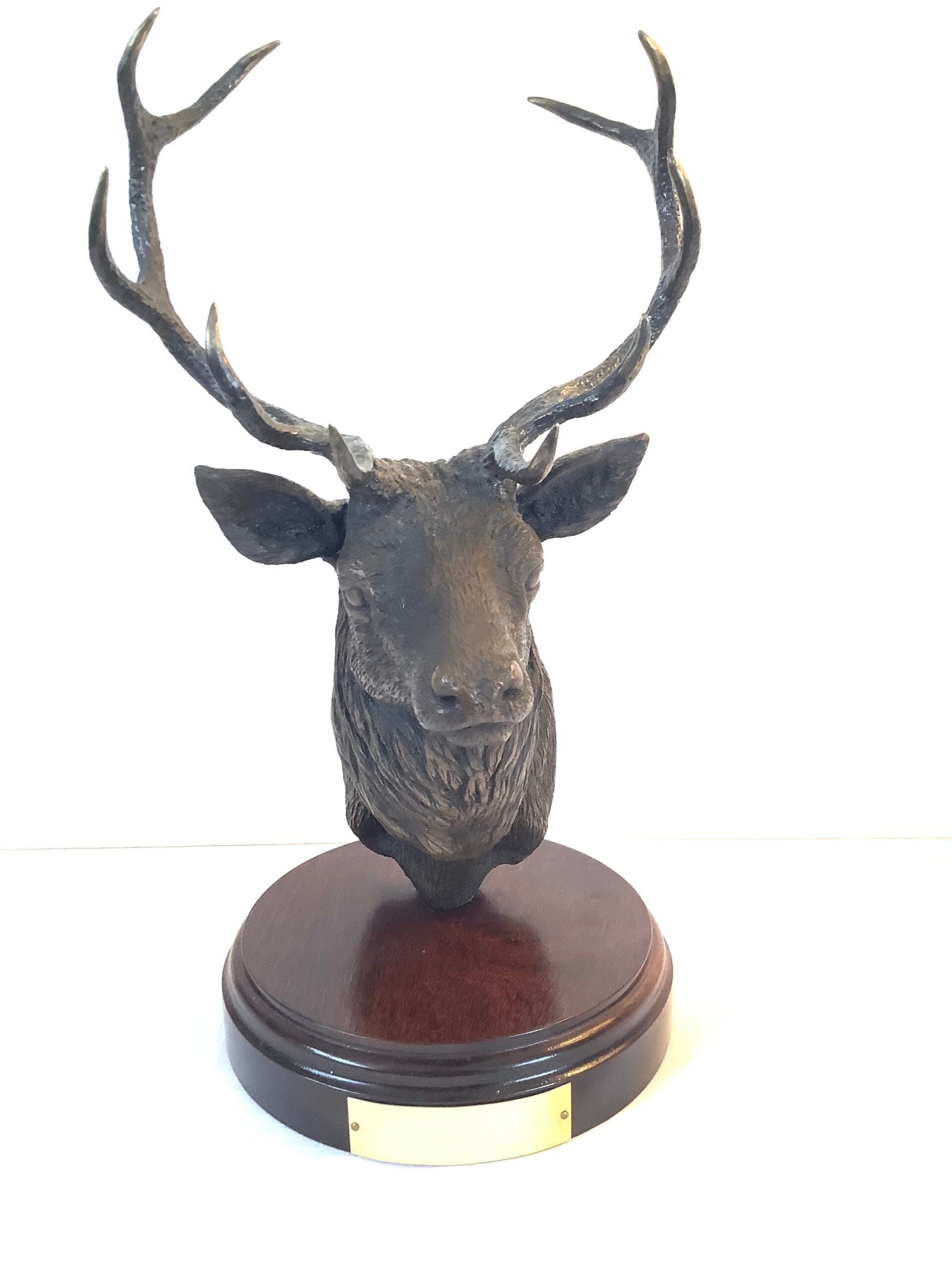Limited Edition Bronze STAG By WILLIE FORBES Royal Taxidermist at Balmoral and Wildlife Artist in Braemar)