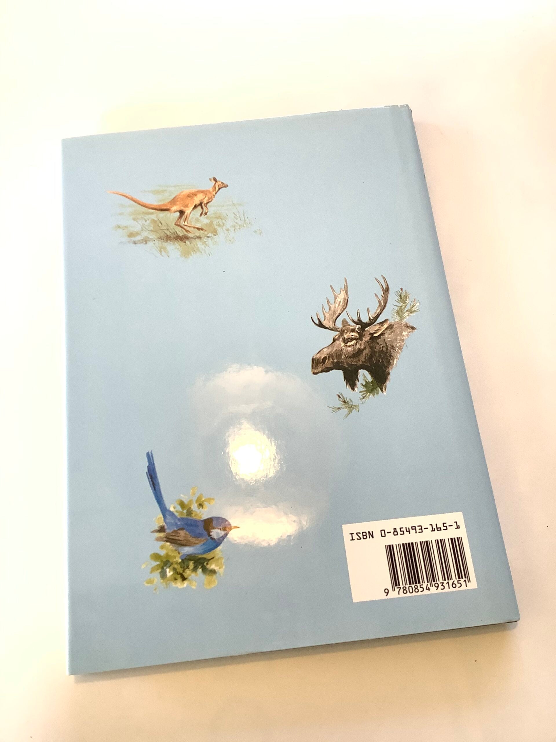 The Quiet Waters By Almer Tryon Illustrated by Rodger Mcphail