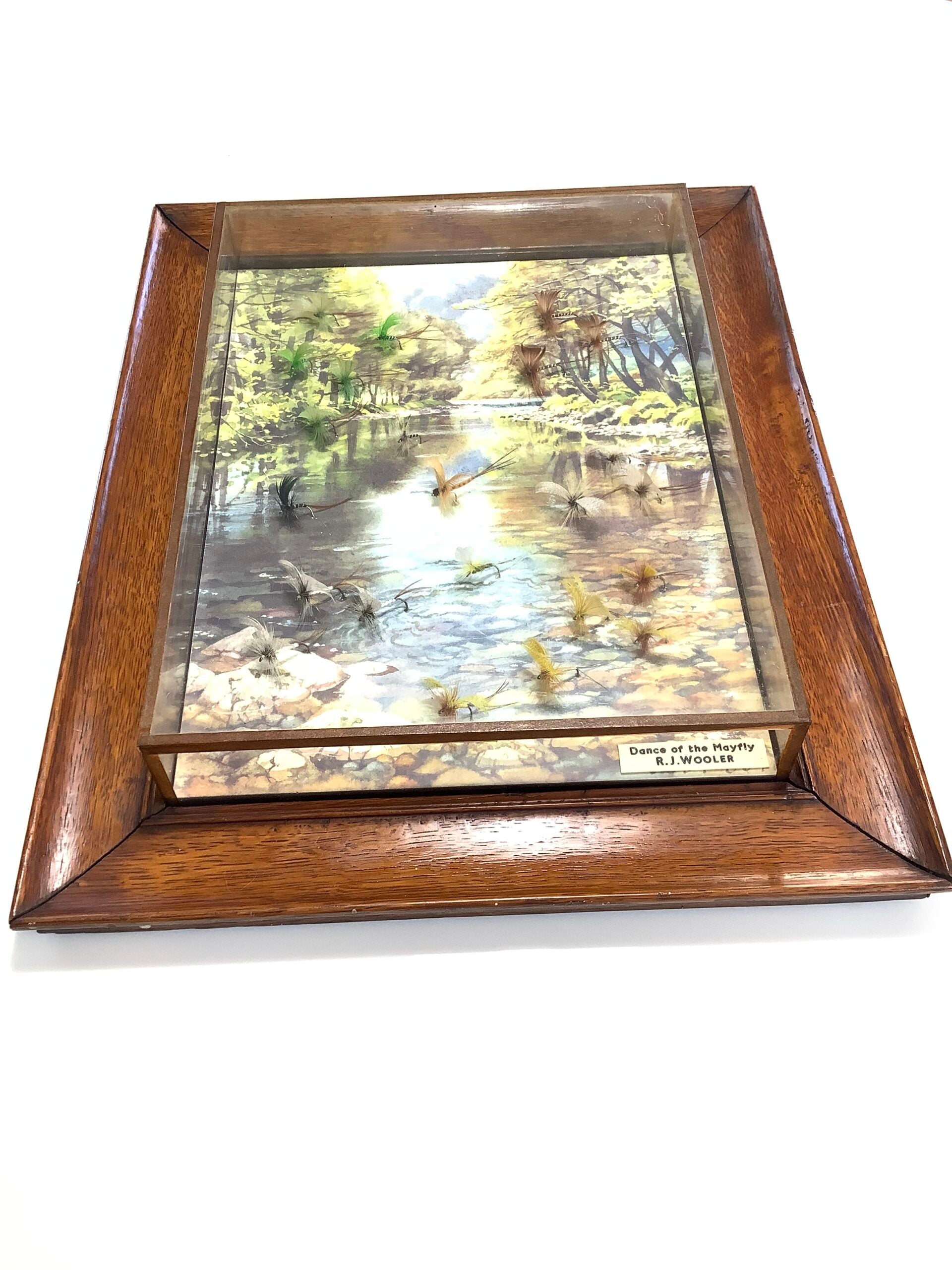 Antique Presentation set of Hand tied May Flies “ The Dance Of The Mayfly” set in an oak framed glass display with beautiful picture.