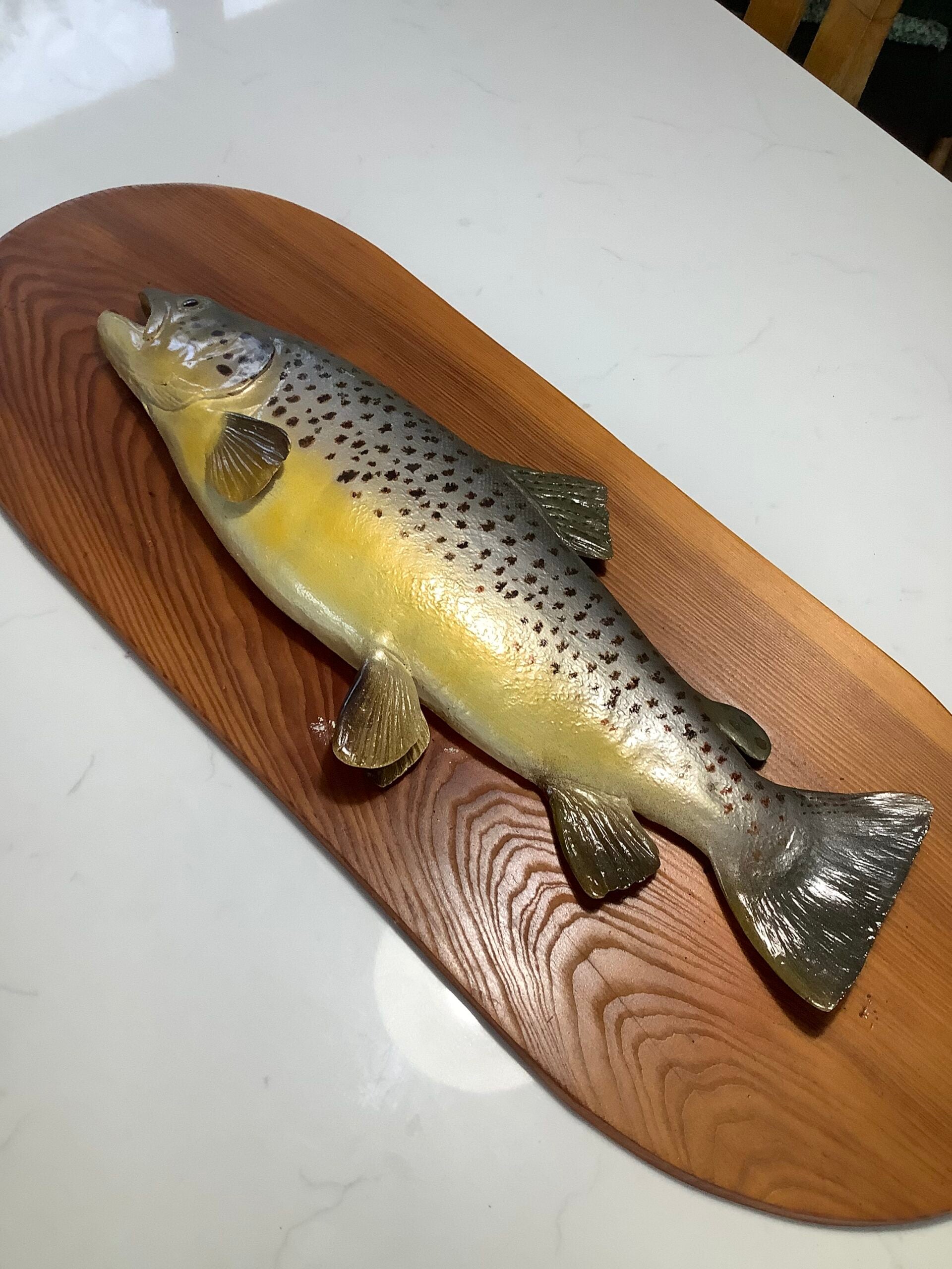 Decorative Hand Painted Large Brown Trout on Presentation Display Board