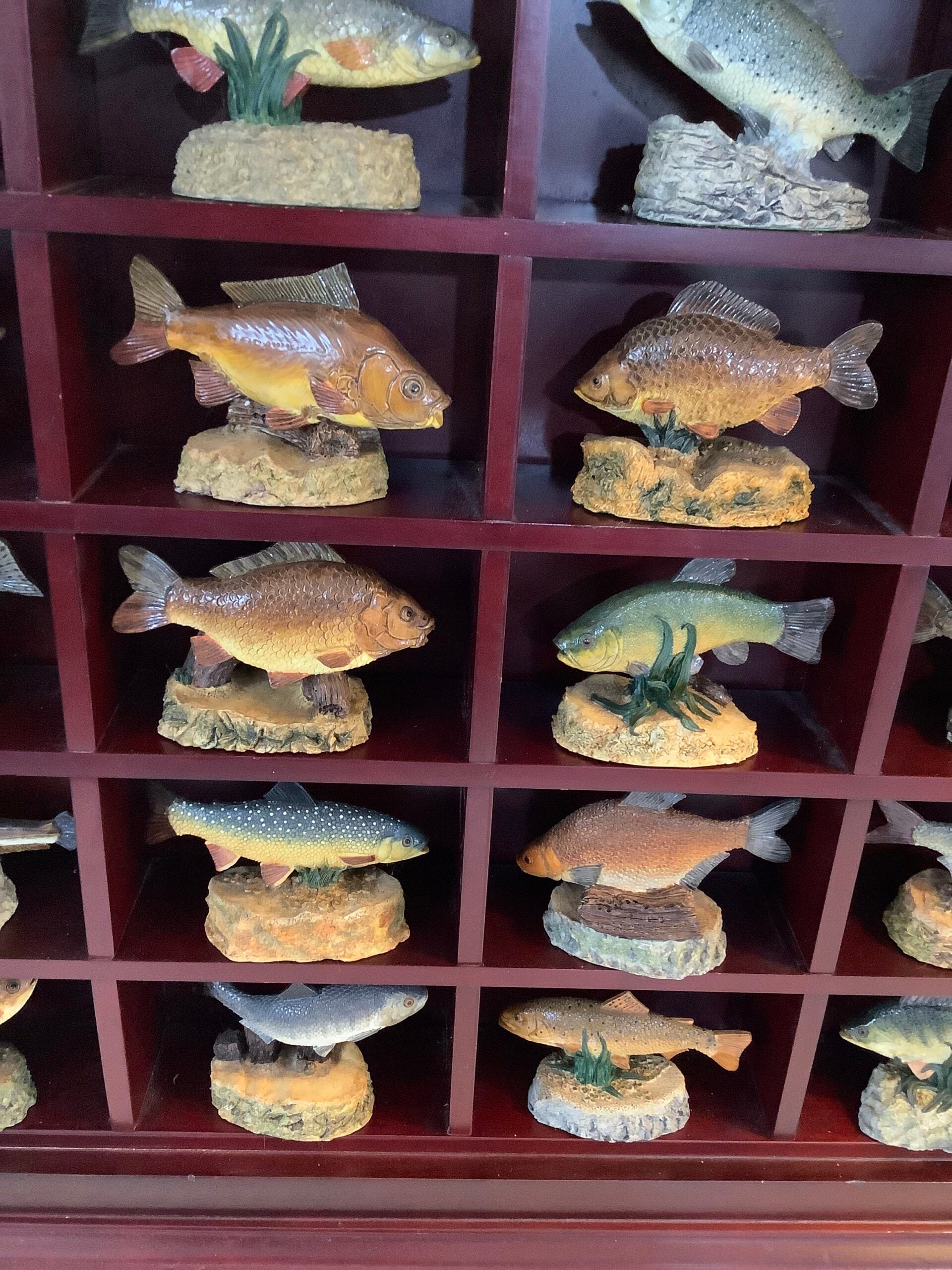 ANGLERS SHOWCASE Complete Set