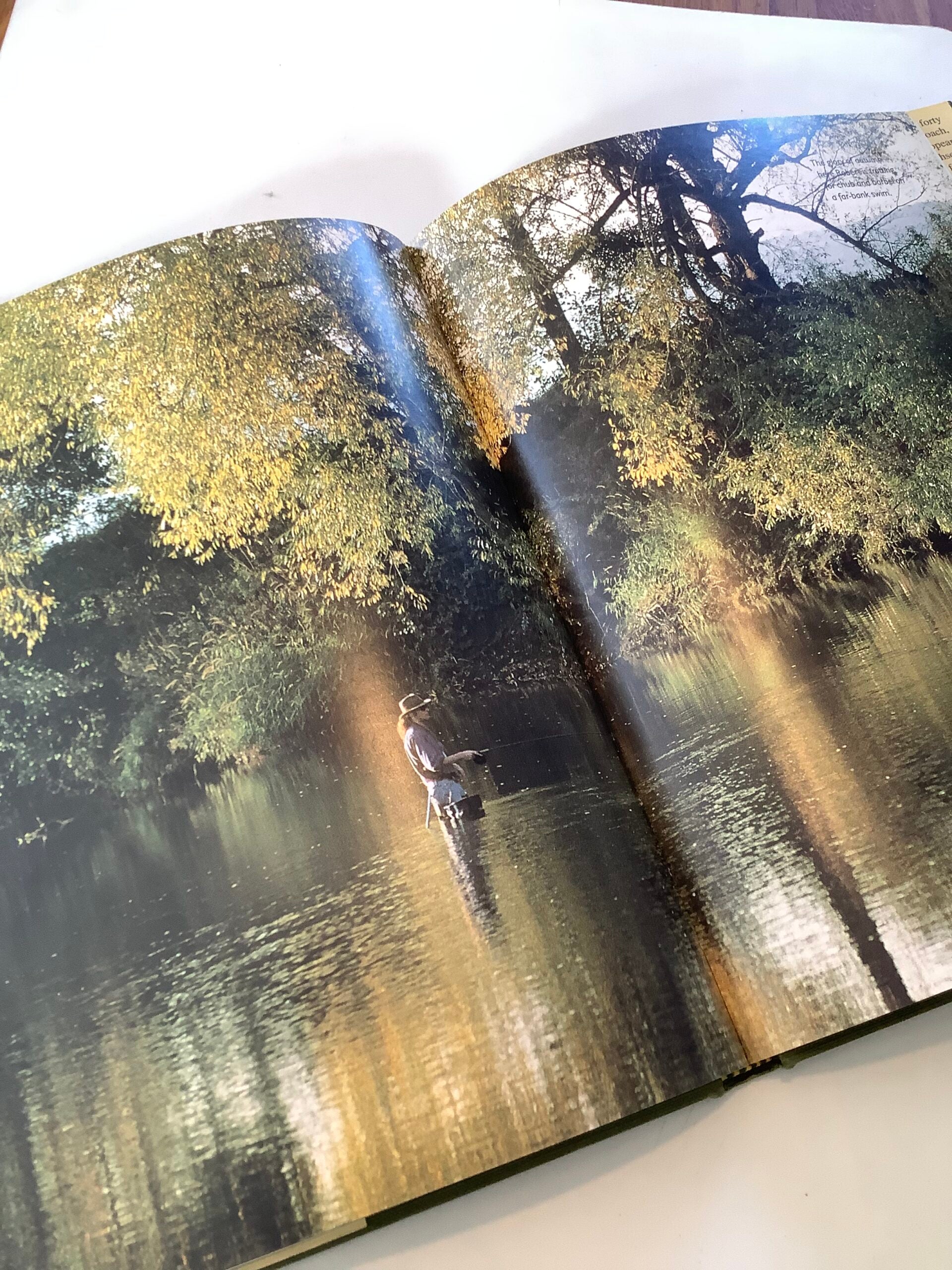 The Master Angler by John Bailey