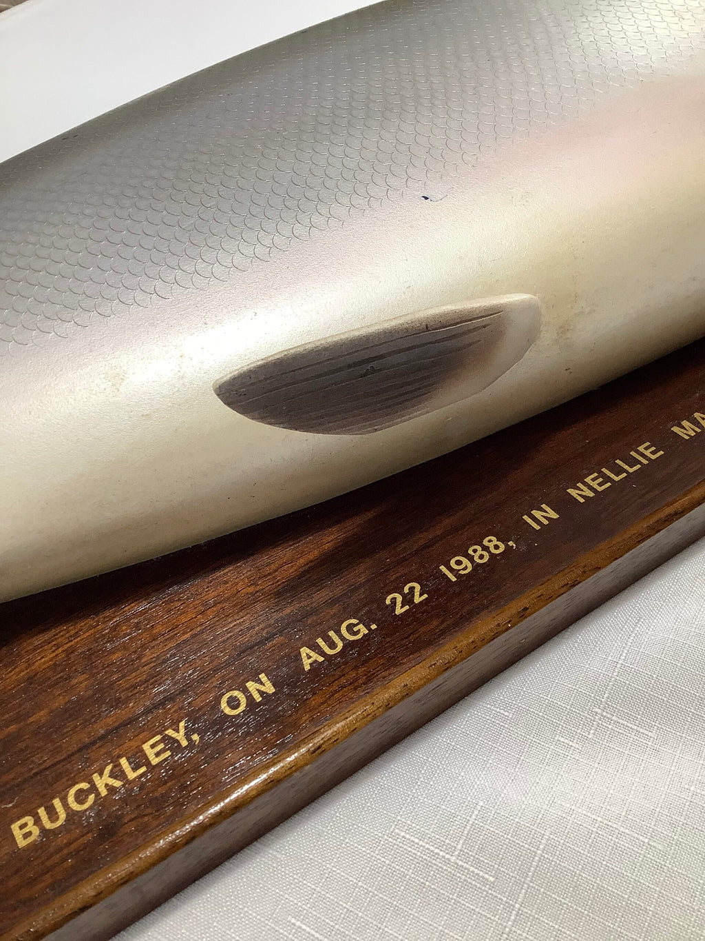 A Half Block Wood Carved Salmon on a Mahogany’s Display Board