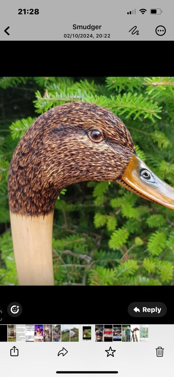 IAN TAYLOR HAND CRAFTED MALLARD WALKING STICK Maker to The Royals Celebrates
