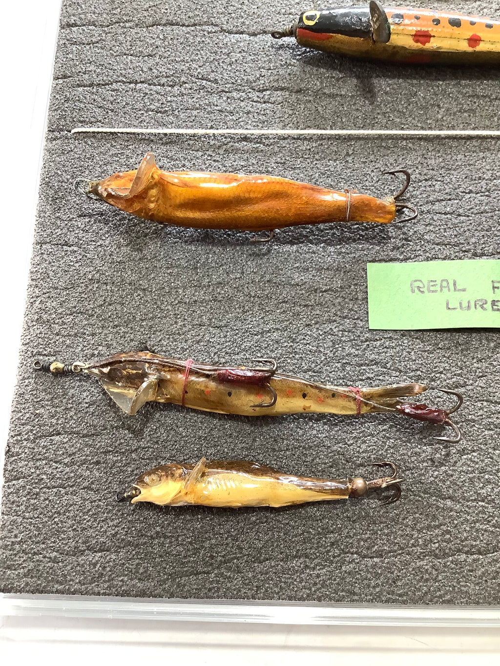 Rare Antique HATTON OF HEREFORD Minnow lures and Real Fish Lures