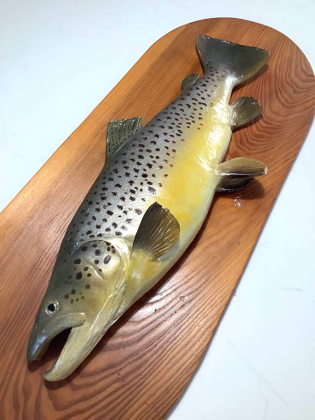 Decorative Hand Painted Large Brown Trout on Presentation Display Board
