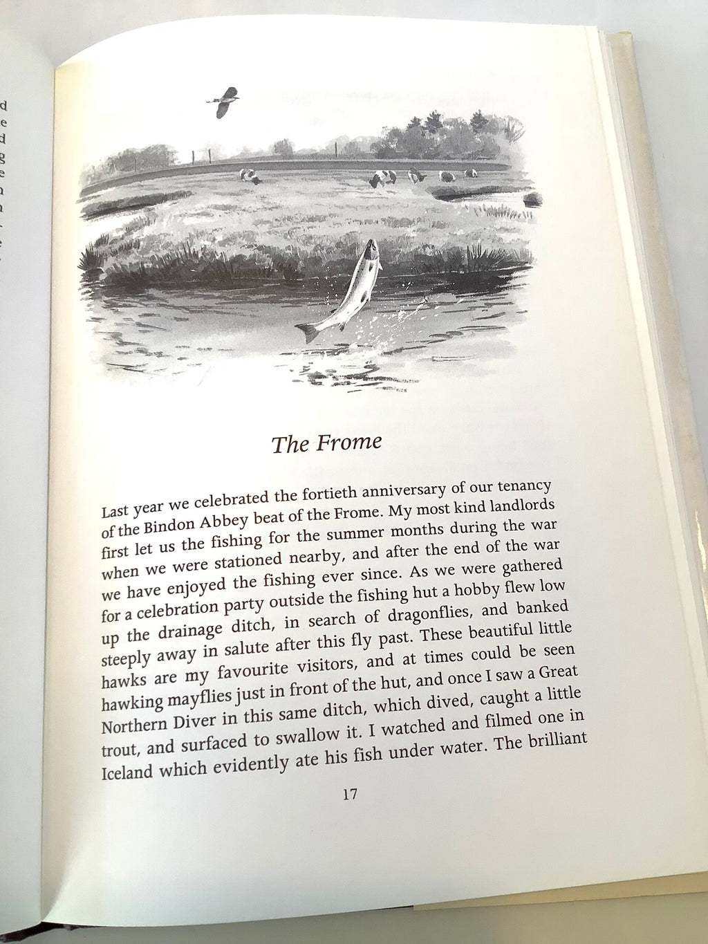 The Quiet Waters By Almer Tryon Illustrated by Rodger Mcphail