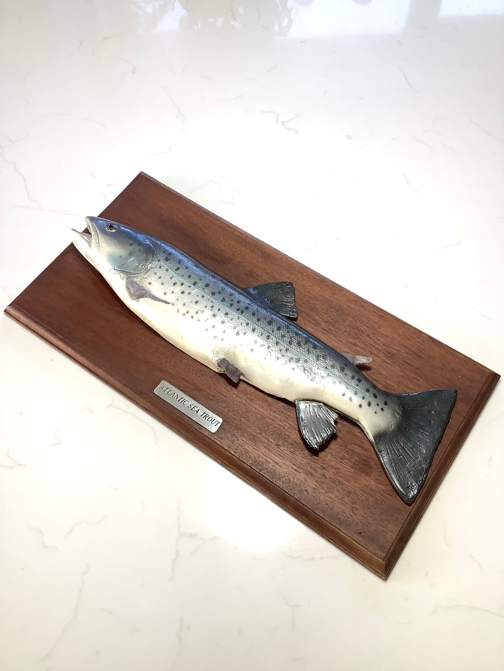 Atlantic Sea-Trout on Mahogany Board
