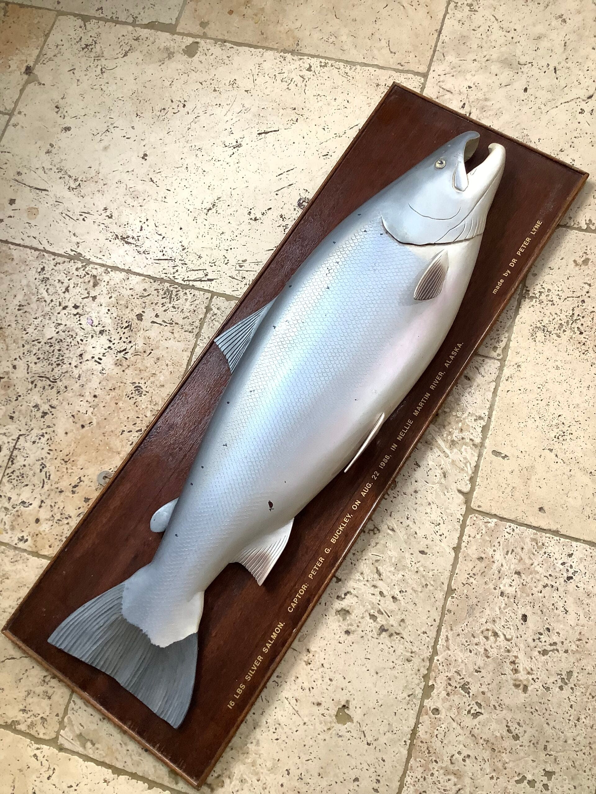 A Half Block Wood Carved Salmon on a Mahogany’s Display Board