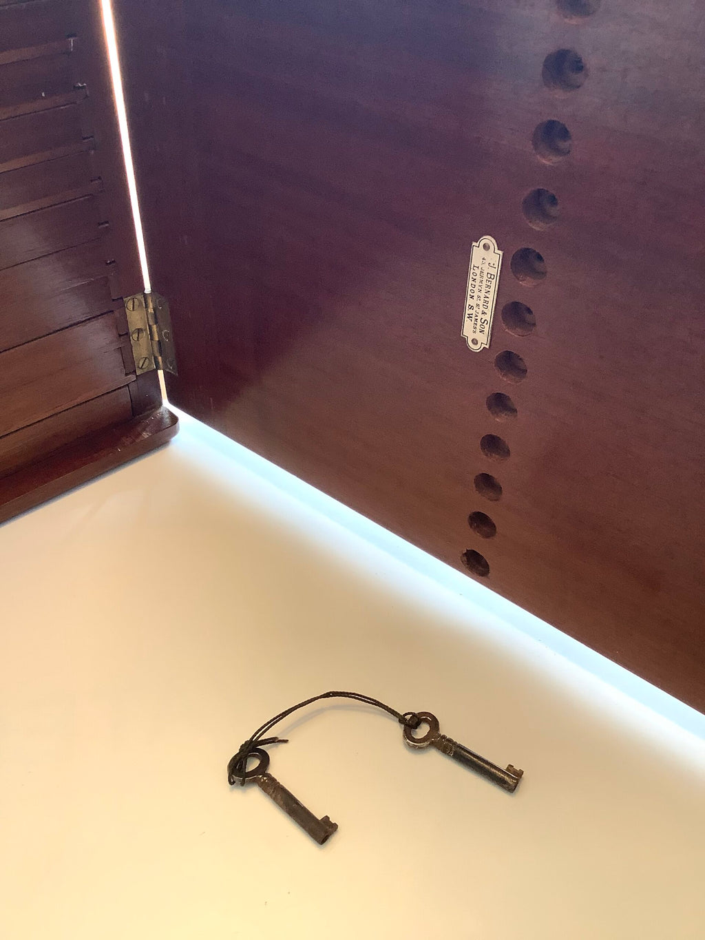 Very Rare Antique J.Bernard of London Fly Cabinet