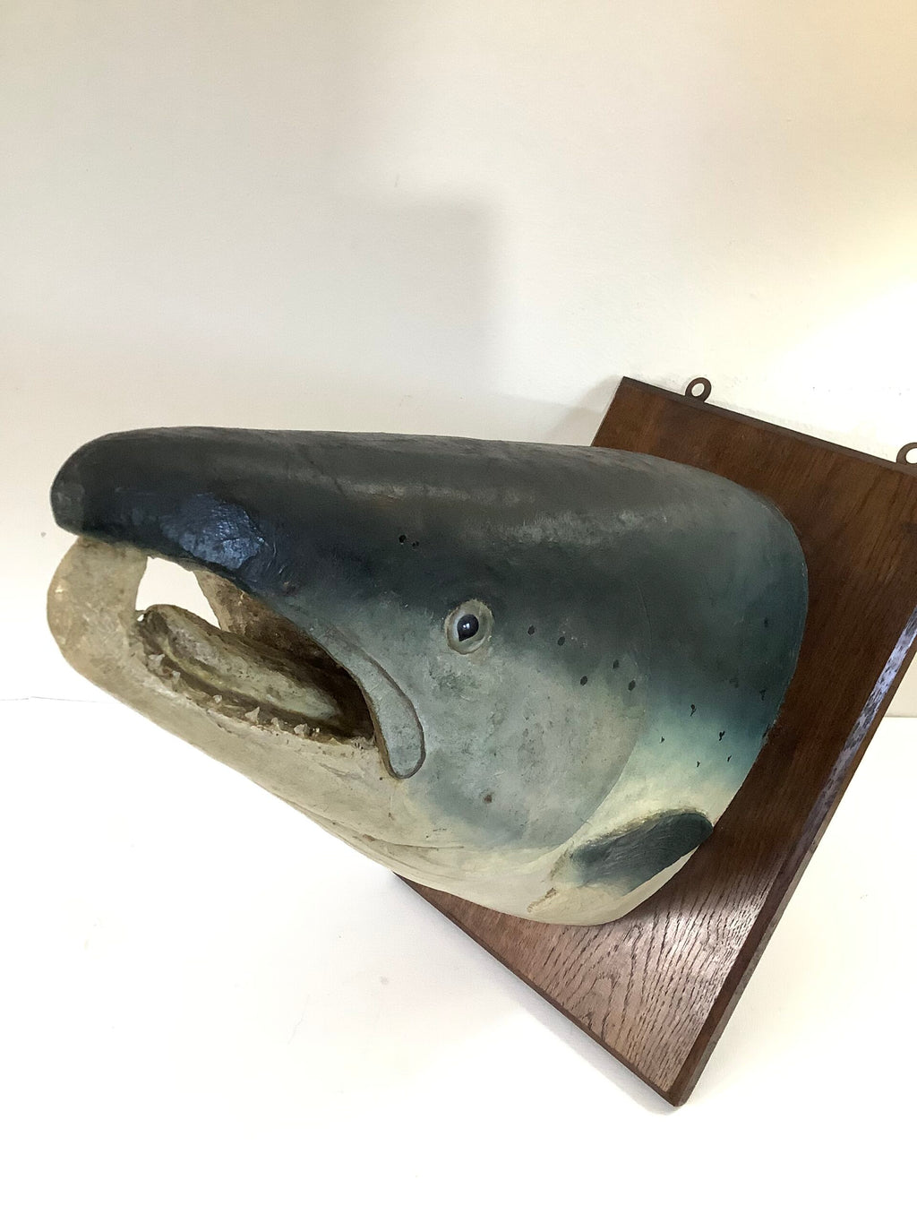 Antique Large Atlantic Salmon Head Wall Mount By A.J PONCHAUD TAXIDERMIST