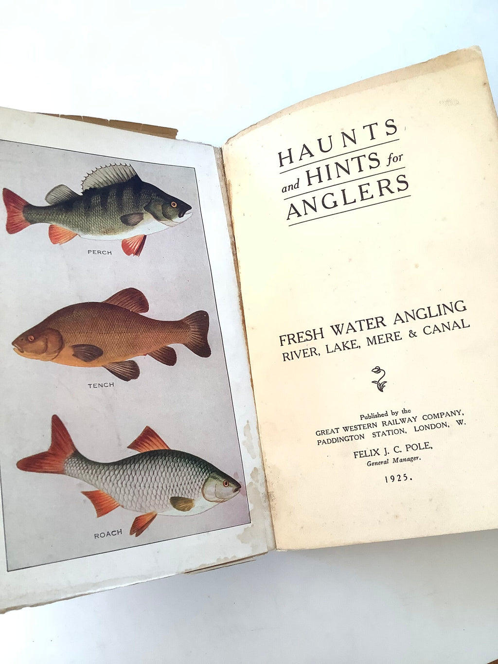 1925 1st Edition HAUNTS and HINTS for ANGLERS Fresh water Angling