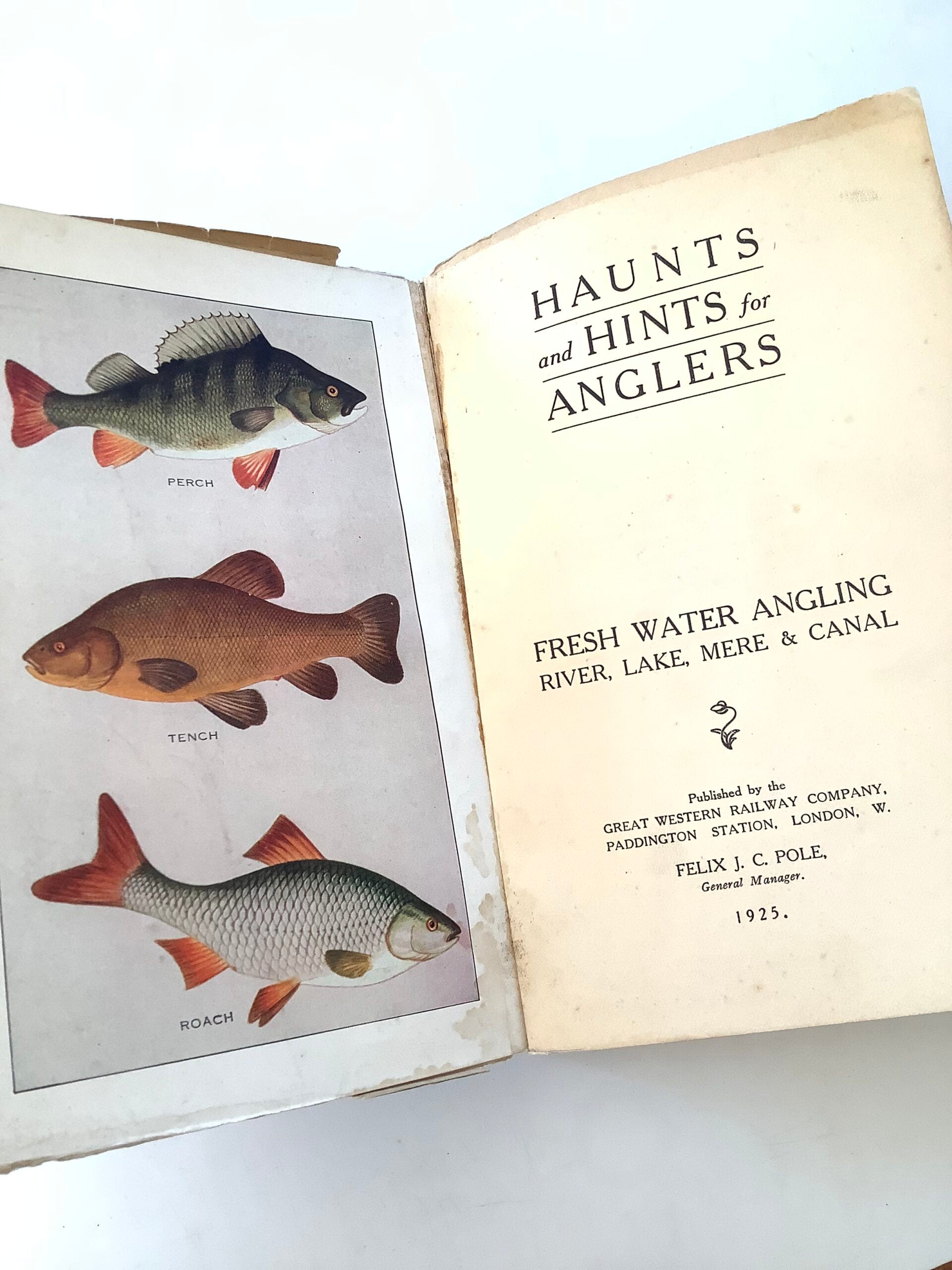 1925 1st Edition HAUNTS and HINTS for ANGLERS Fresh water Angling