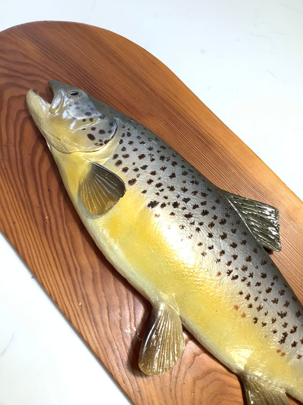 Decorative Hand Painted Large Brown Trout on Presentation Display Board