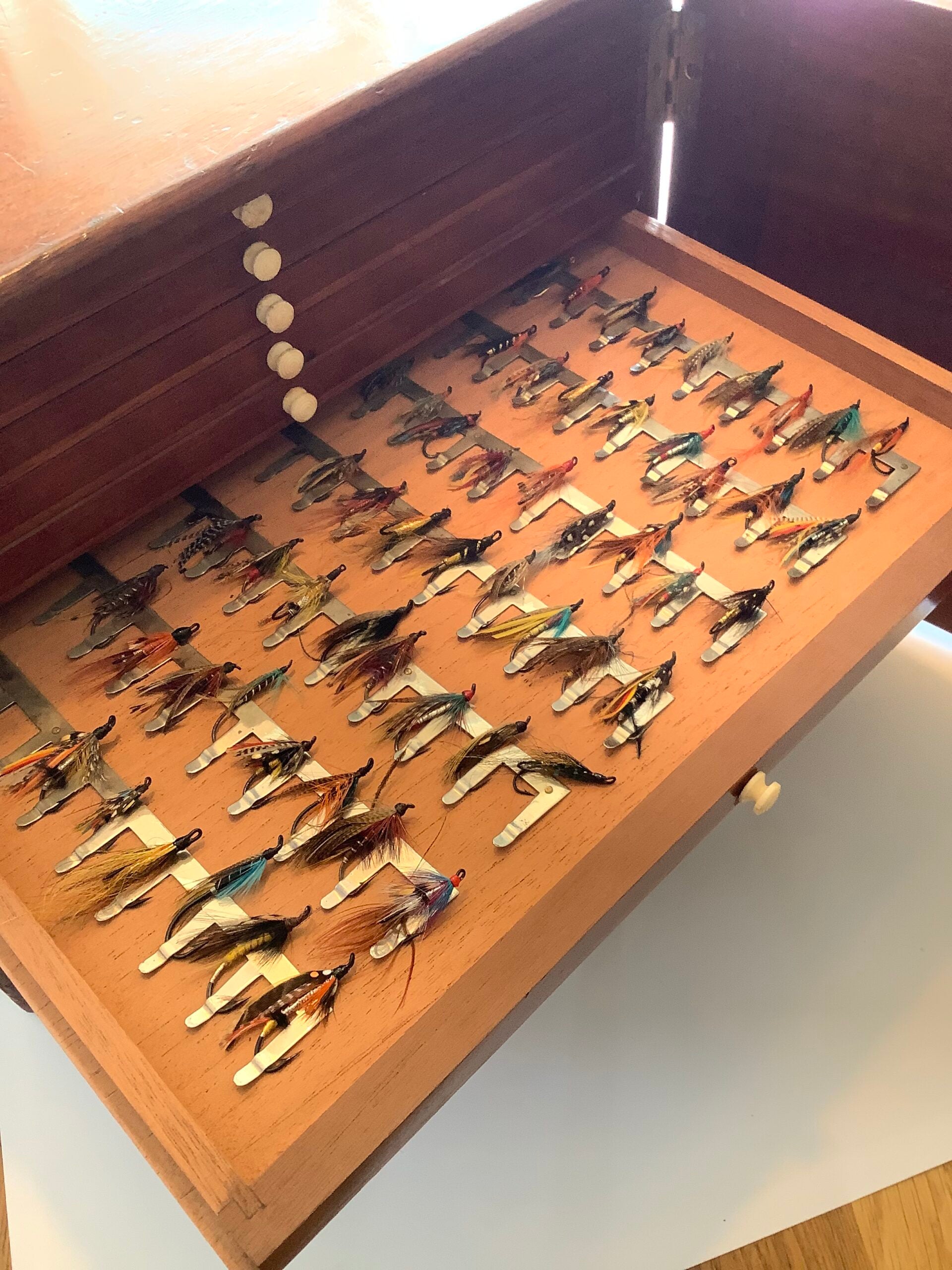 Very Rare Antique J.Bernard of London Fly Cabinet