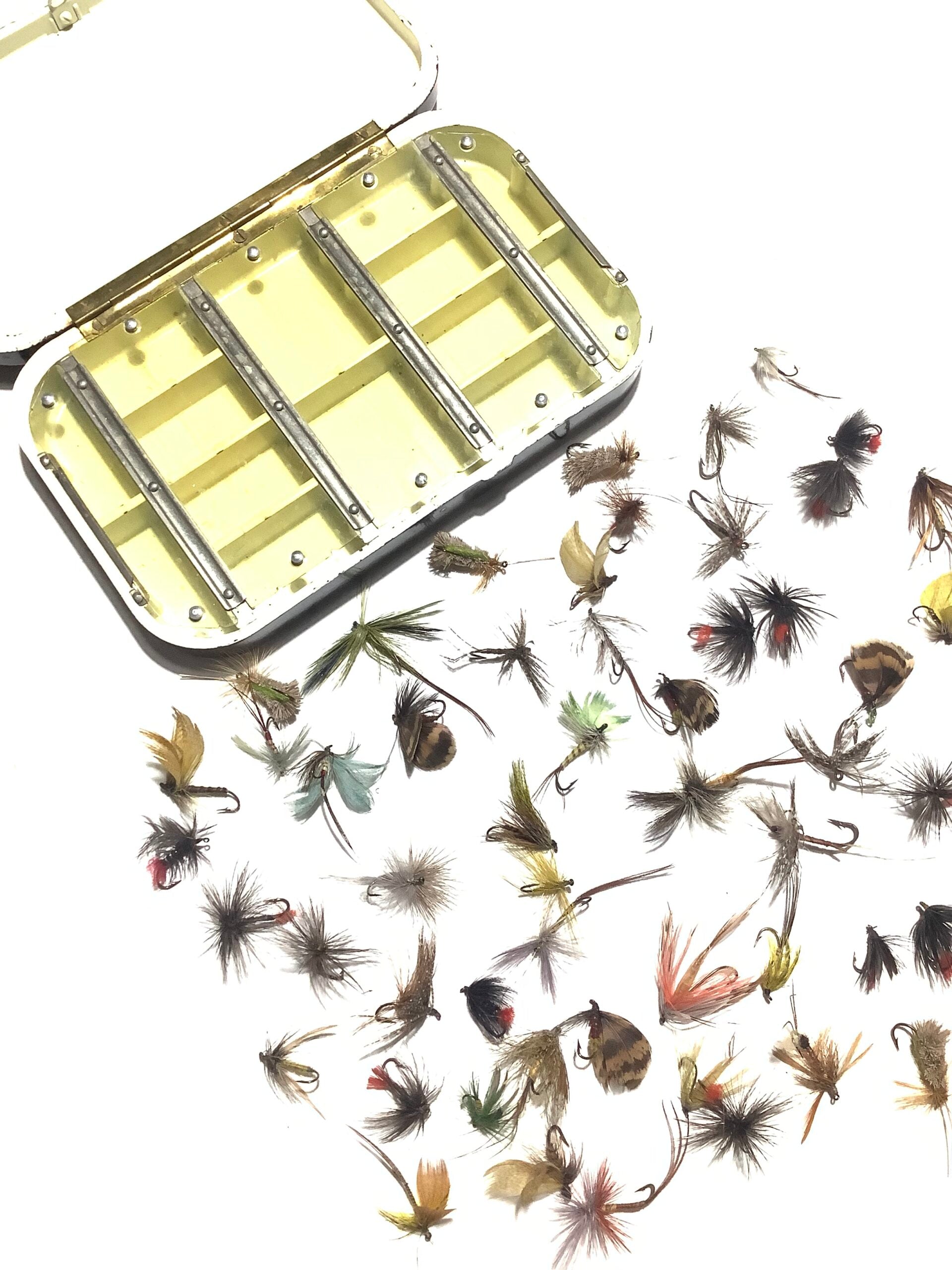 Antique HARDY BROS Large Dry Fly NERODA BOX
