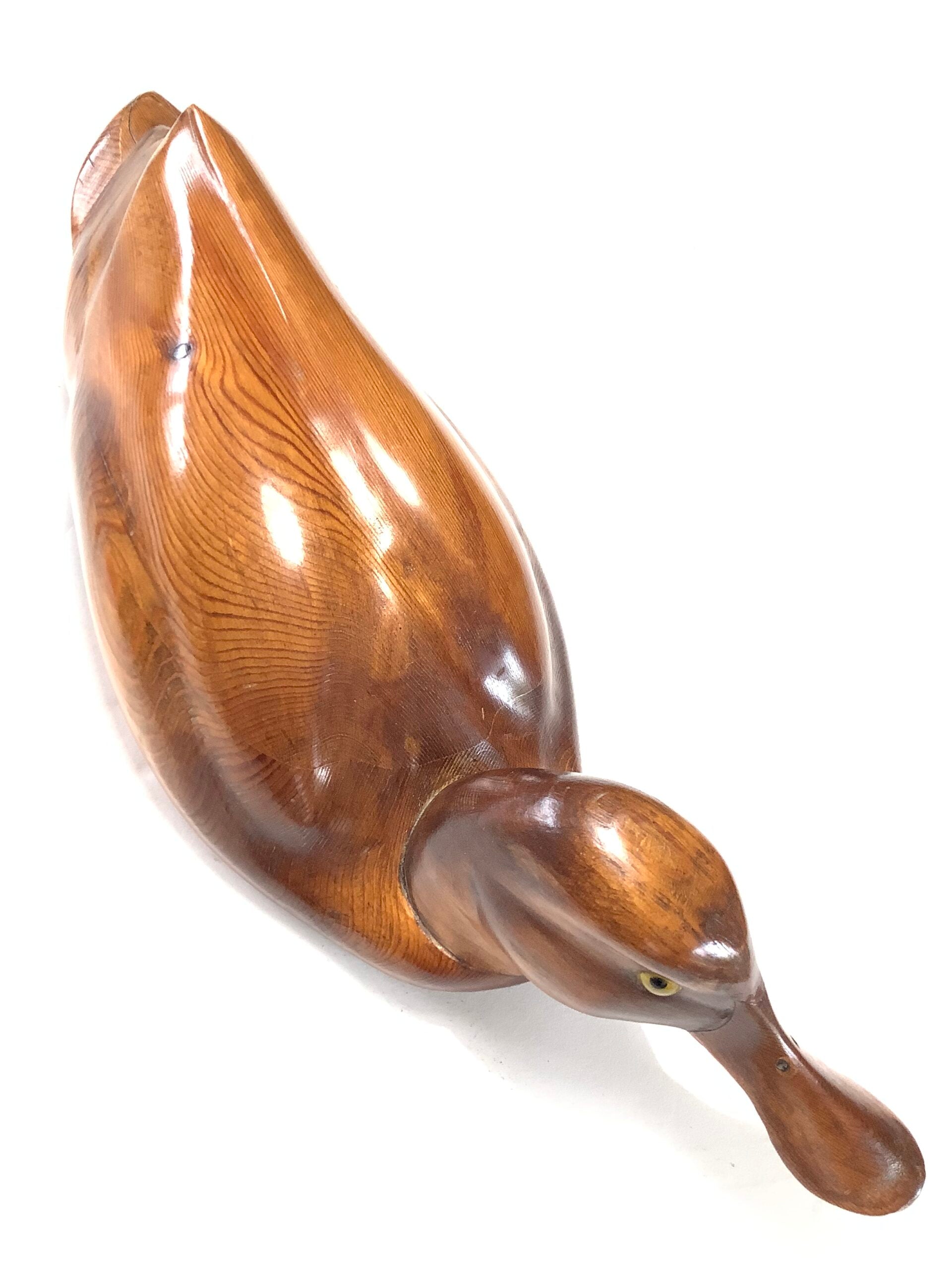 ALAN GLASBY O.B.E Hand Carved Wood “ Shoveller Duck