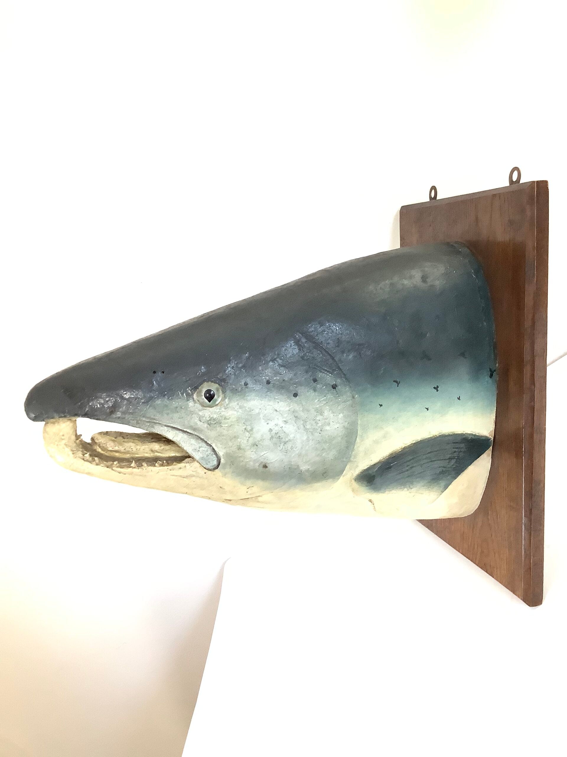 Antique Large Atlantic Salmon Head Wall Mount By A.J PONCHAUD TAXIDERMIST