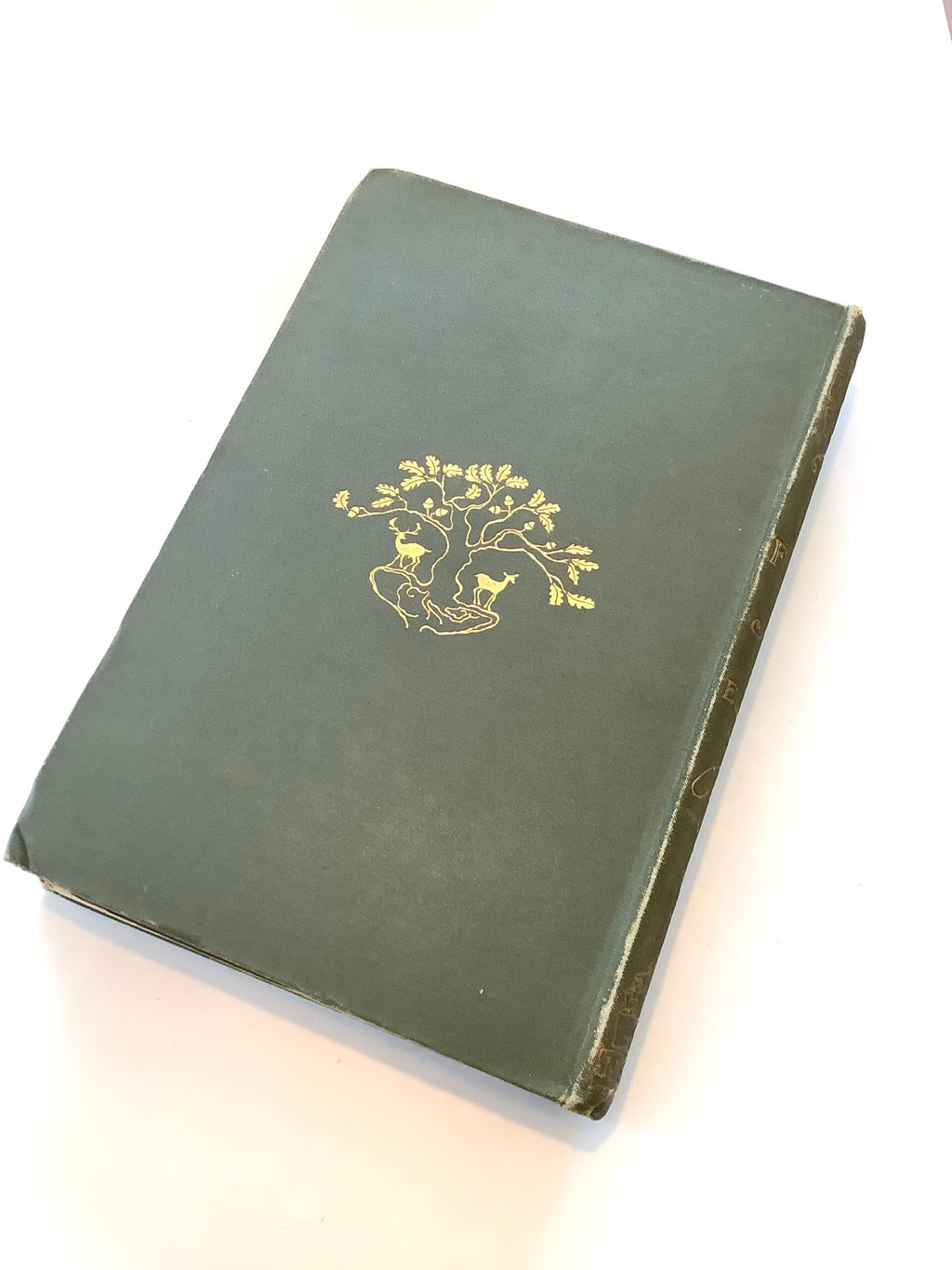 Antique book by Grey Sir Edward, Fly Fishing. 1899 edition