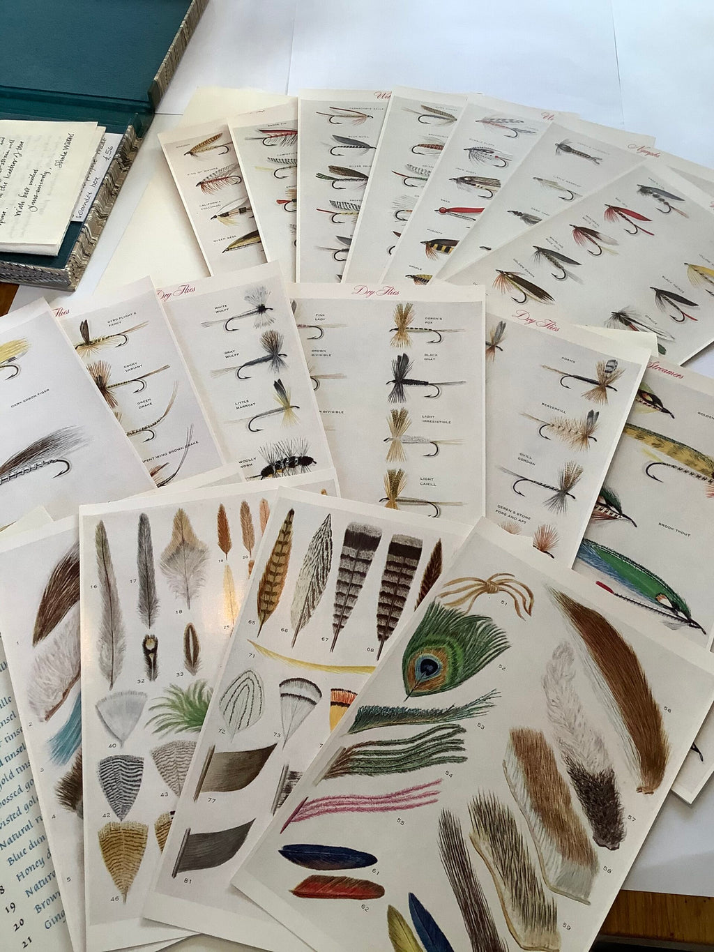 Rare one off Hand made Selander box with gold tooled leather spine