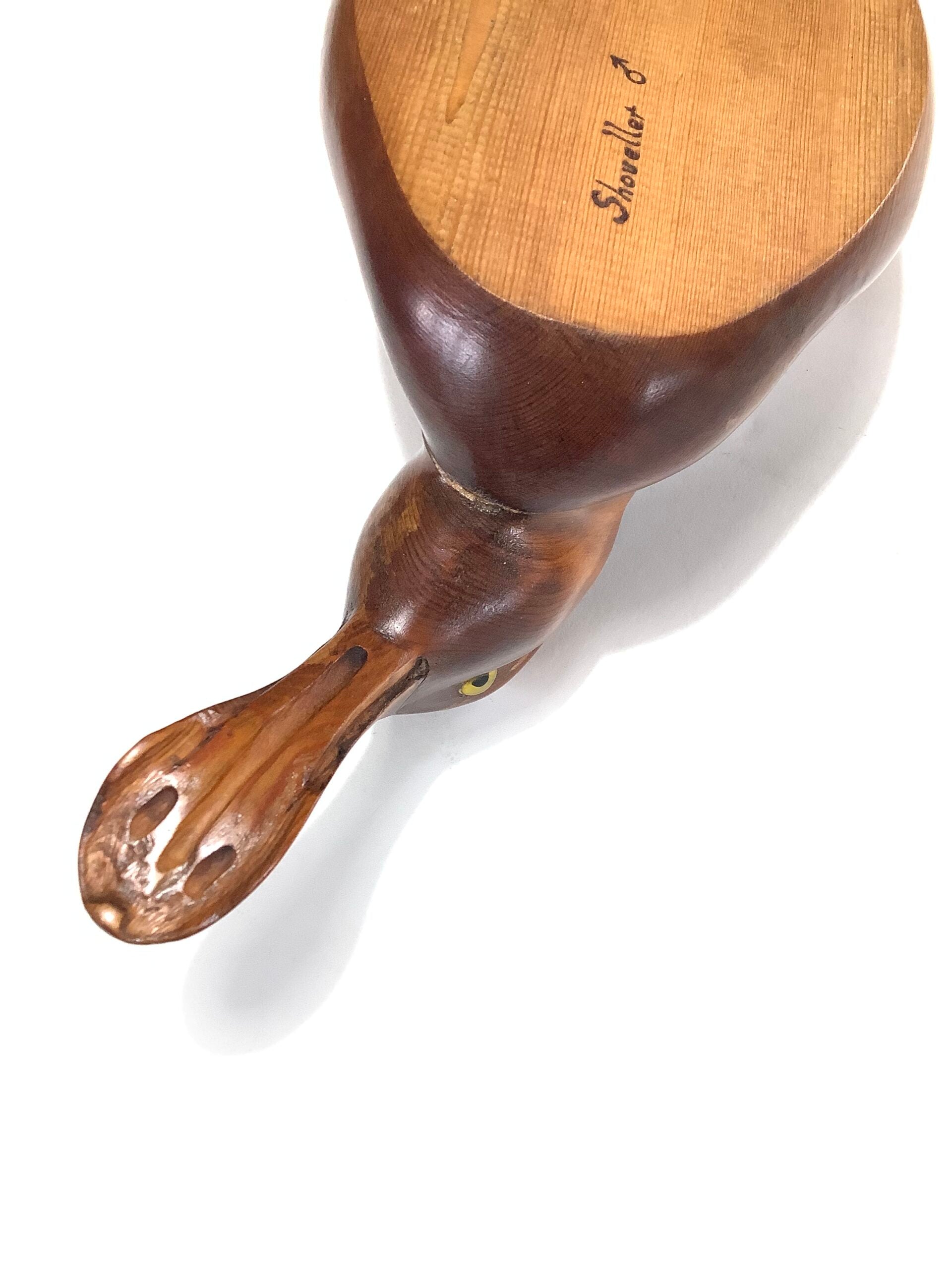 ALAN GLASBY O.B.E Hand Carved Wood “ Shoveller Duck