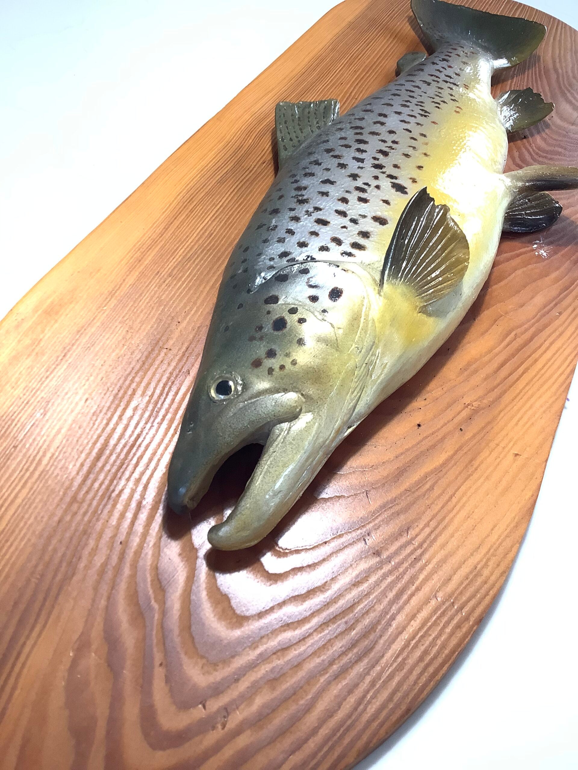 Decorative Hand Painted Large Brown Trout on Presentation Display Board