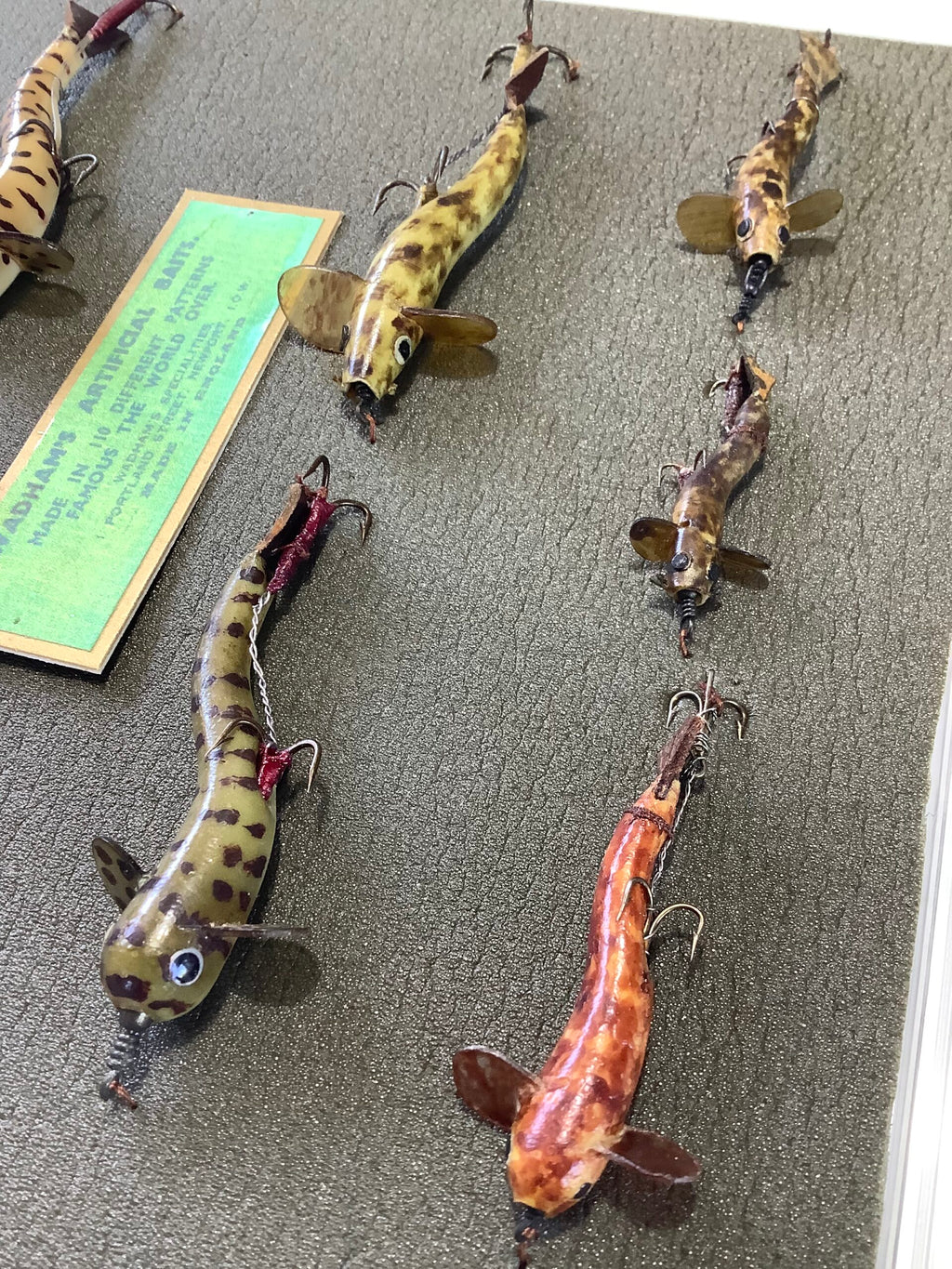 Antique Collection of PERCY WADHAMS “ Stone Loach “ Early carved Horn Versions