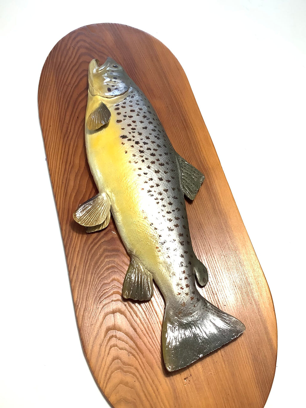 Decorative Hand Painted Large Brown Trout on Presentation Display Board