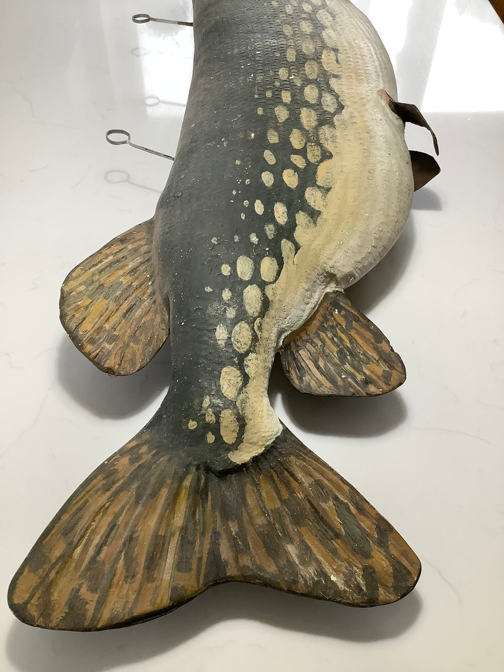 Enormous Ex-Shop Display Realistic 40lbs+ PIKE Display Fun Item