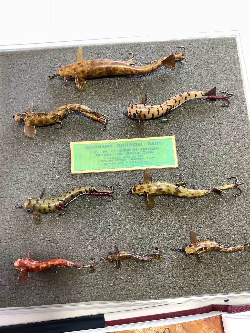 Antique Collection of PERCY WADHAMS “ Stone Loach “ Early carved Horn Versions