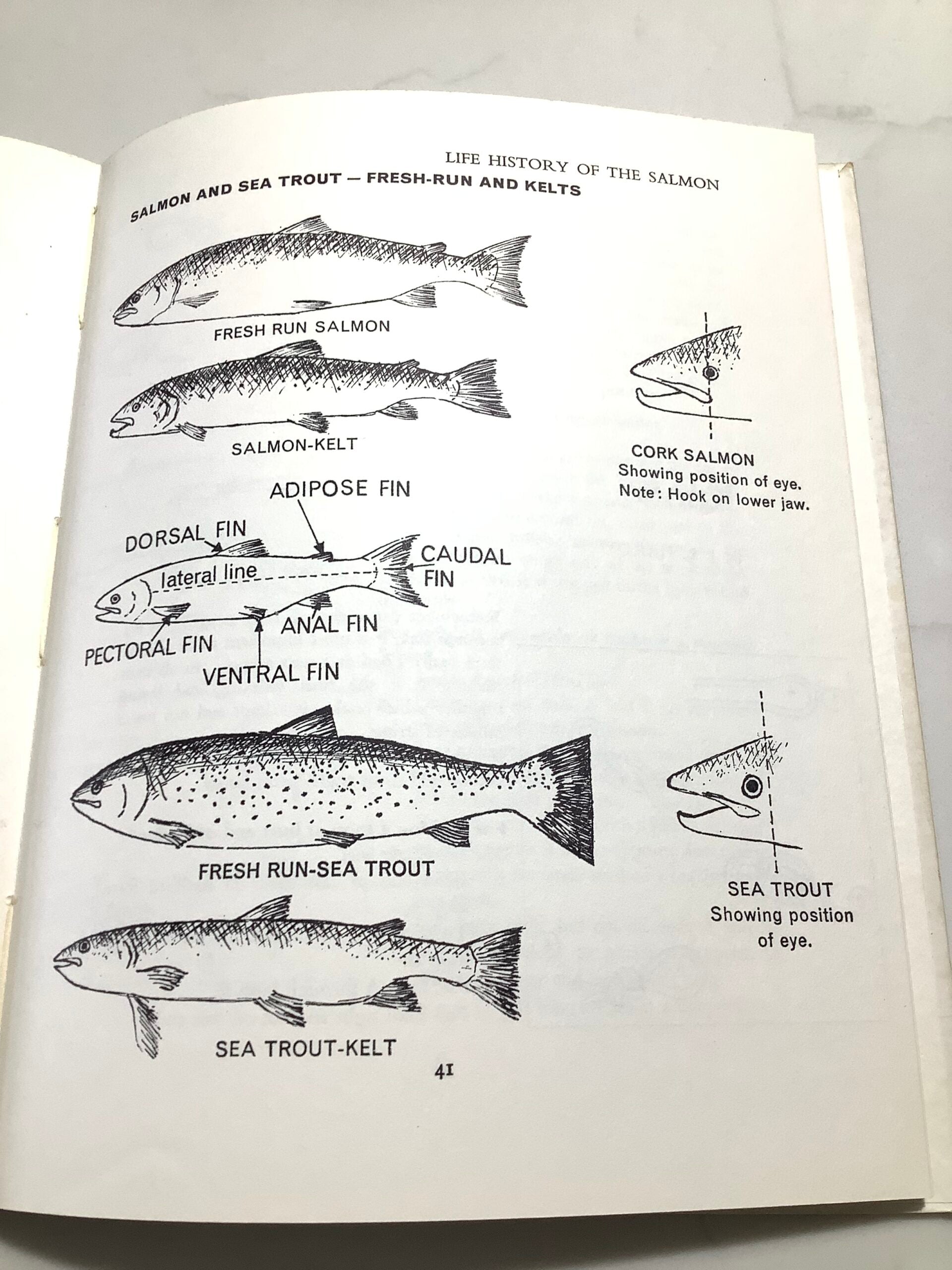 HARDYS AID TO ANGLING SALMON TROUT Plus River Allen Booklet