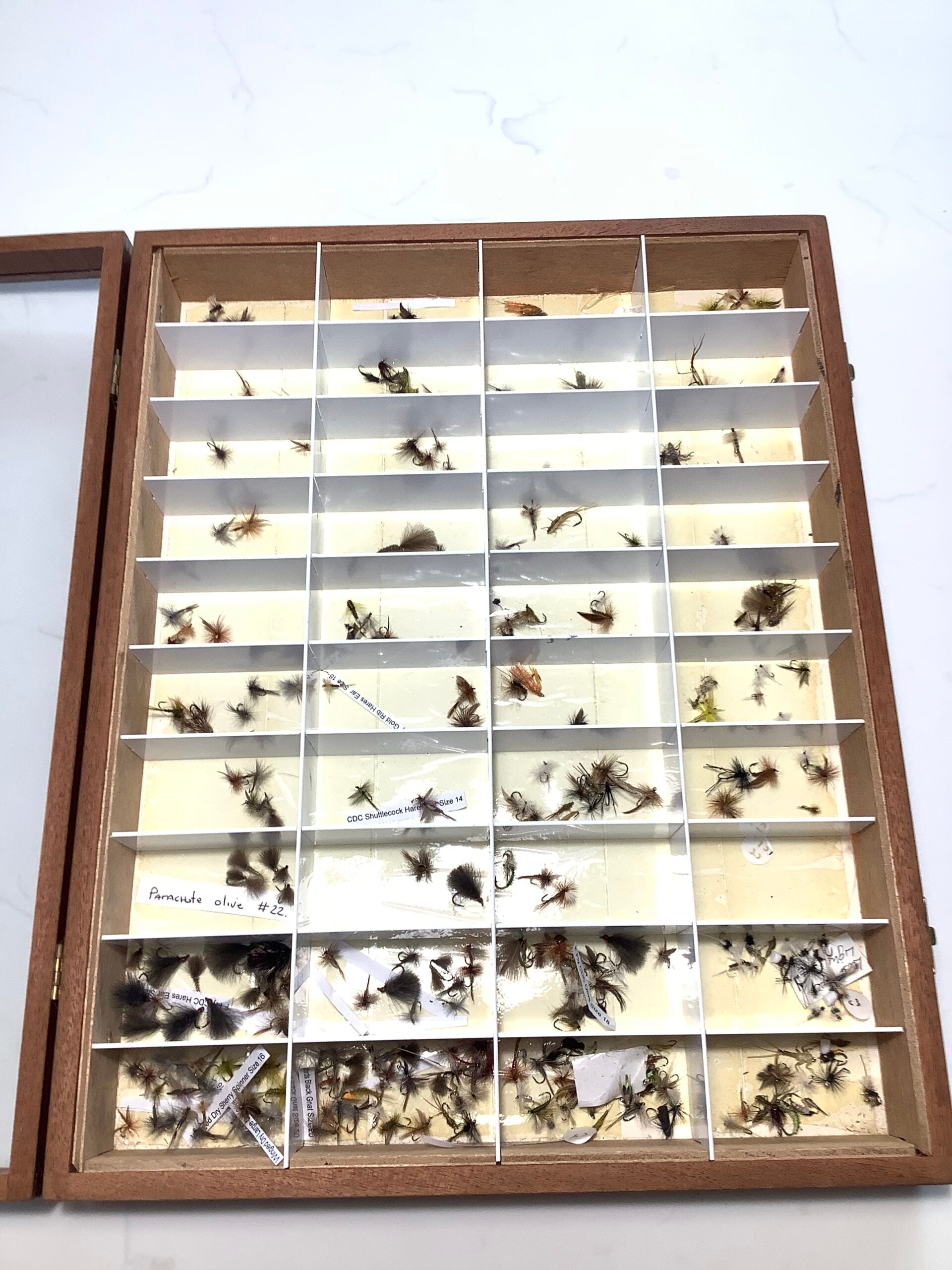 Vintage Ex Shop Fly Display Cabinet