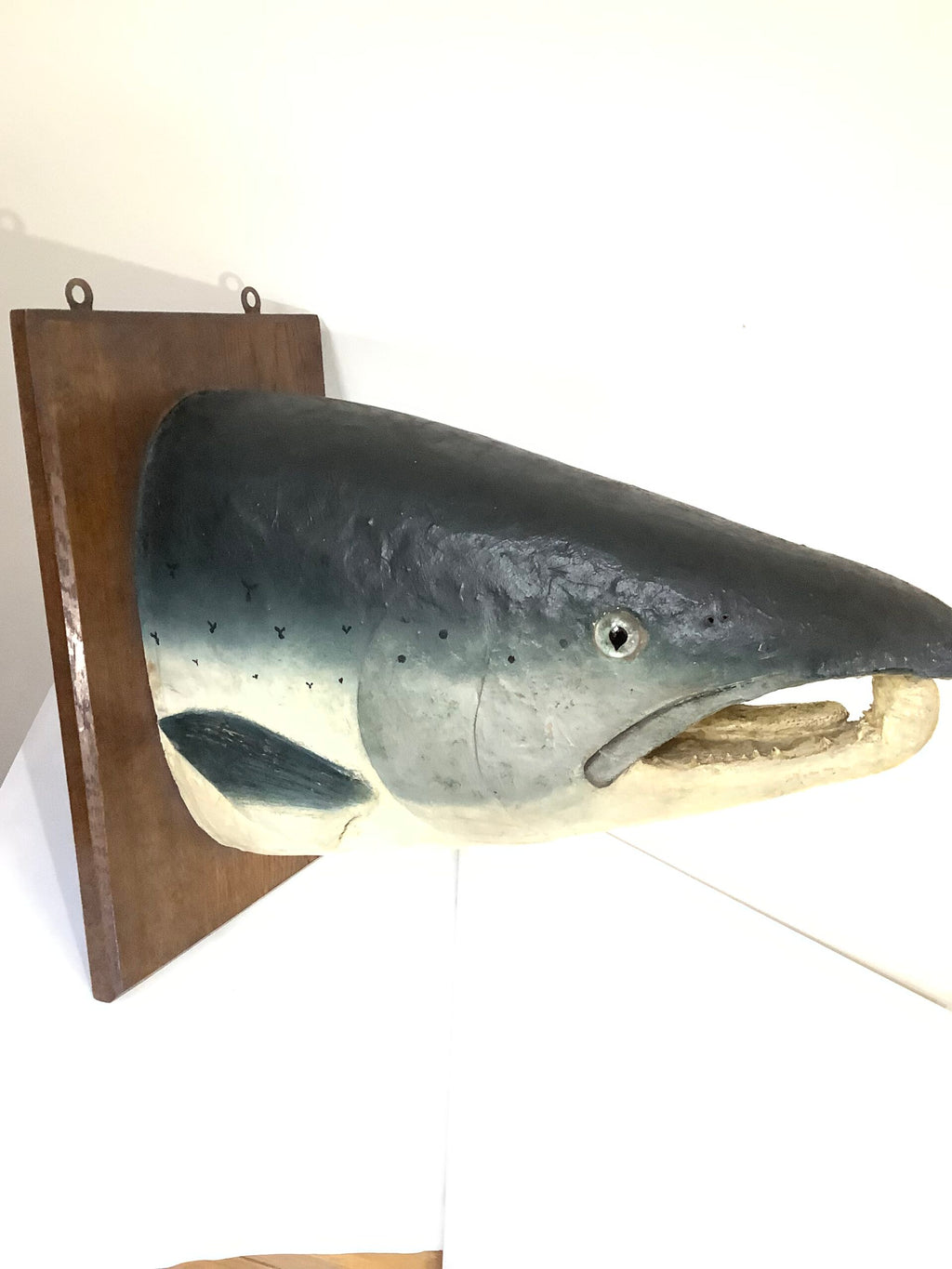 Antique Large Atlantic Salmon Head Wall Mount By A.J PONCHAUD TAXIDERMIST