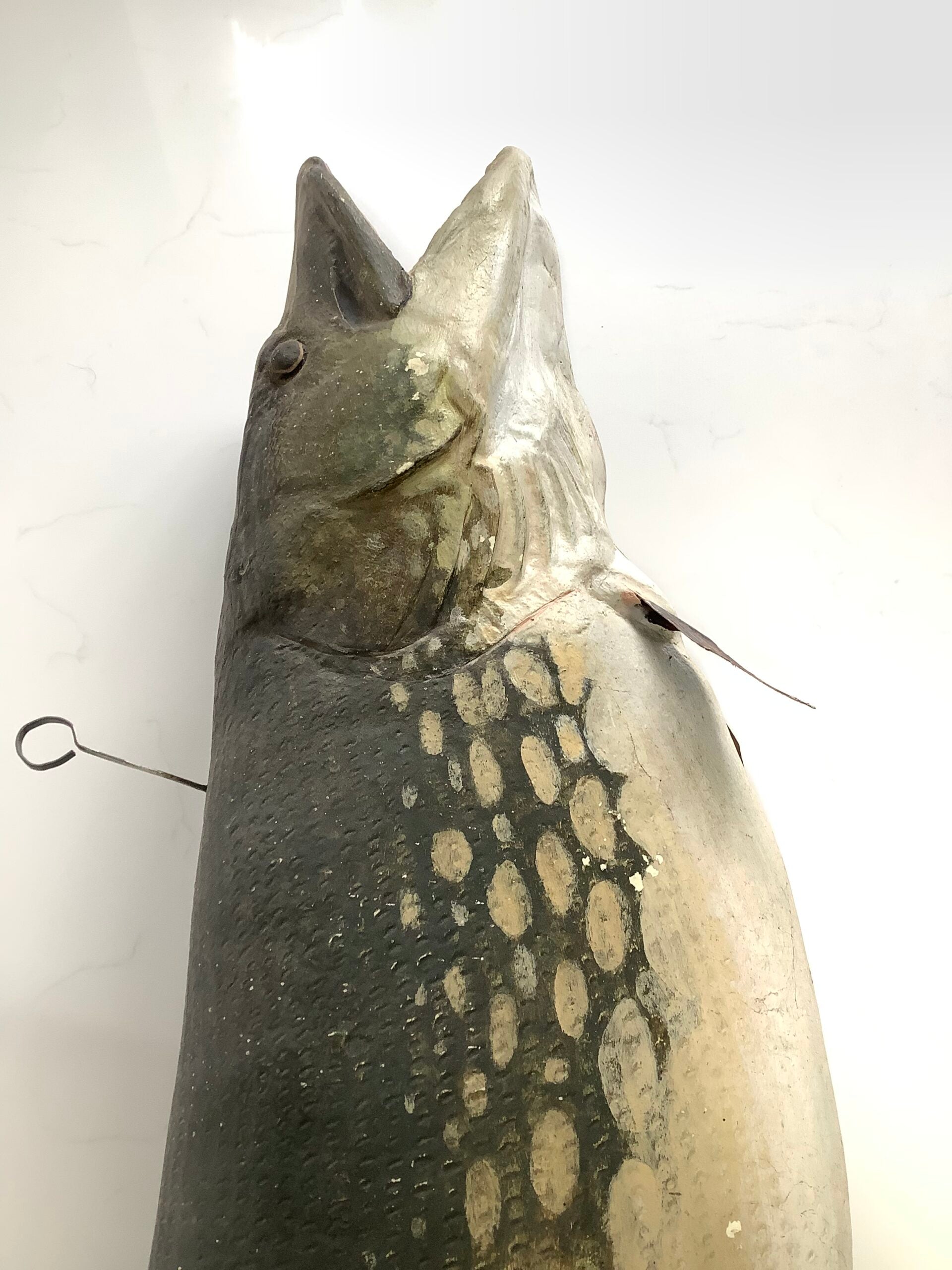 Enormous Ex-Shop Display Realistic 40lbs+ PIKE Display Fun Item