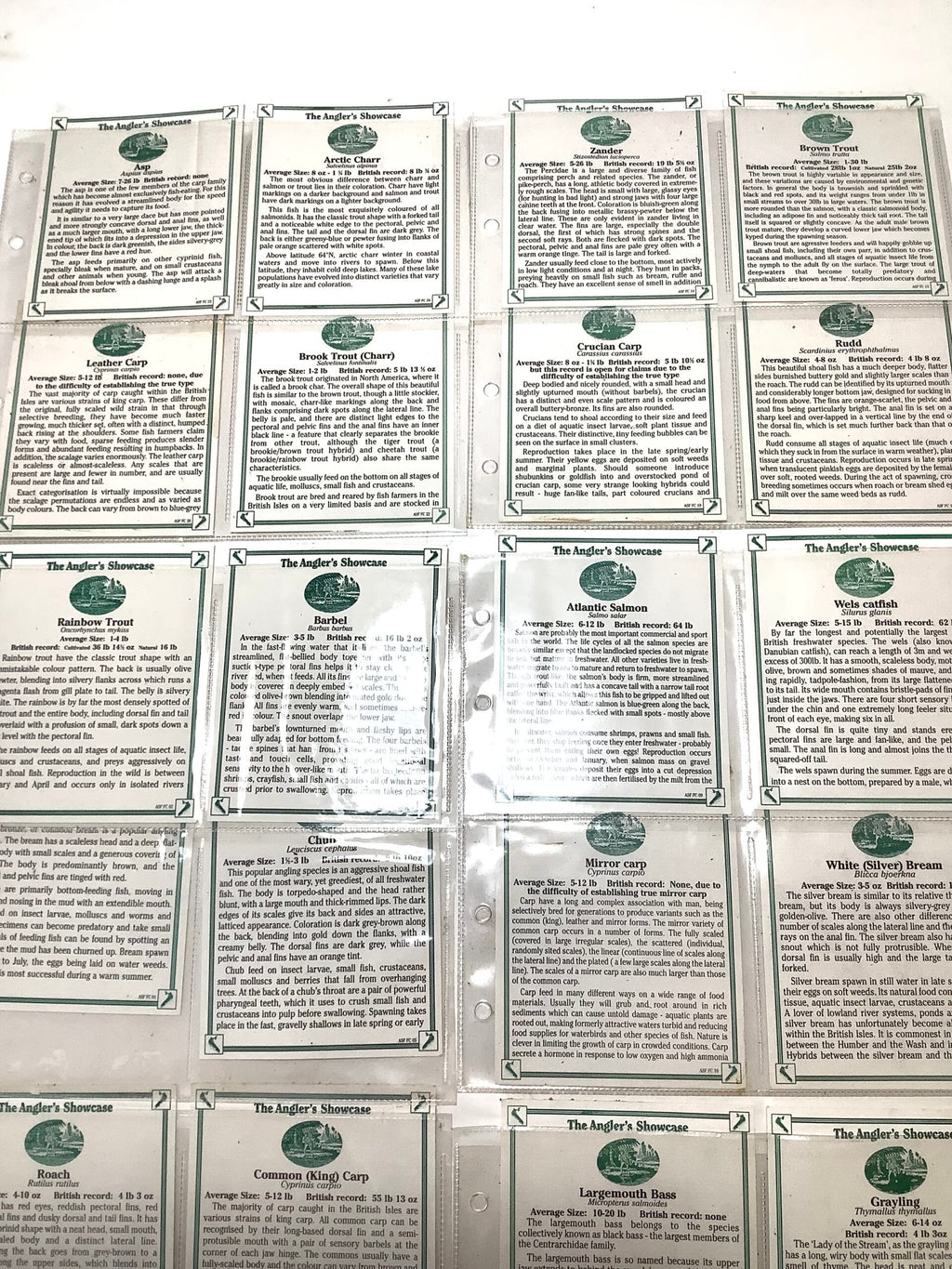 ANGLERS SHOWCASE Complete Set