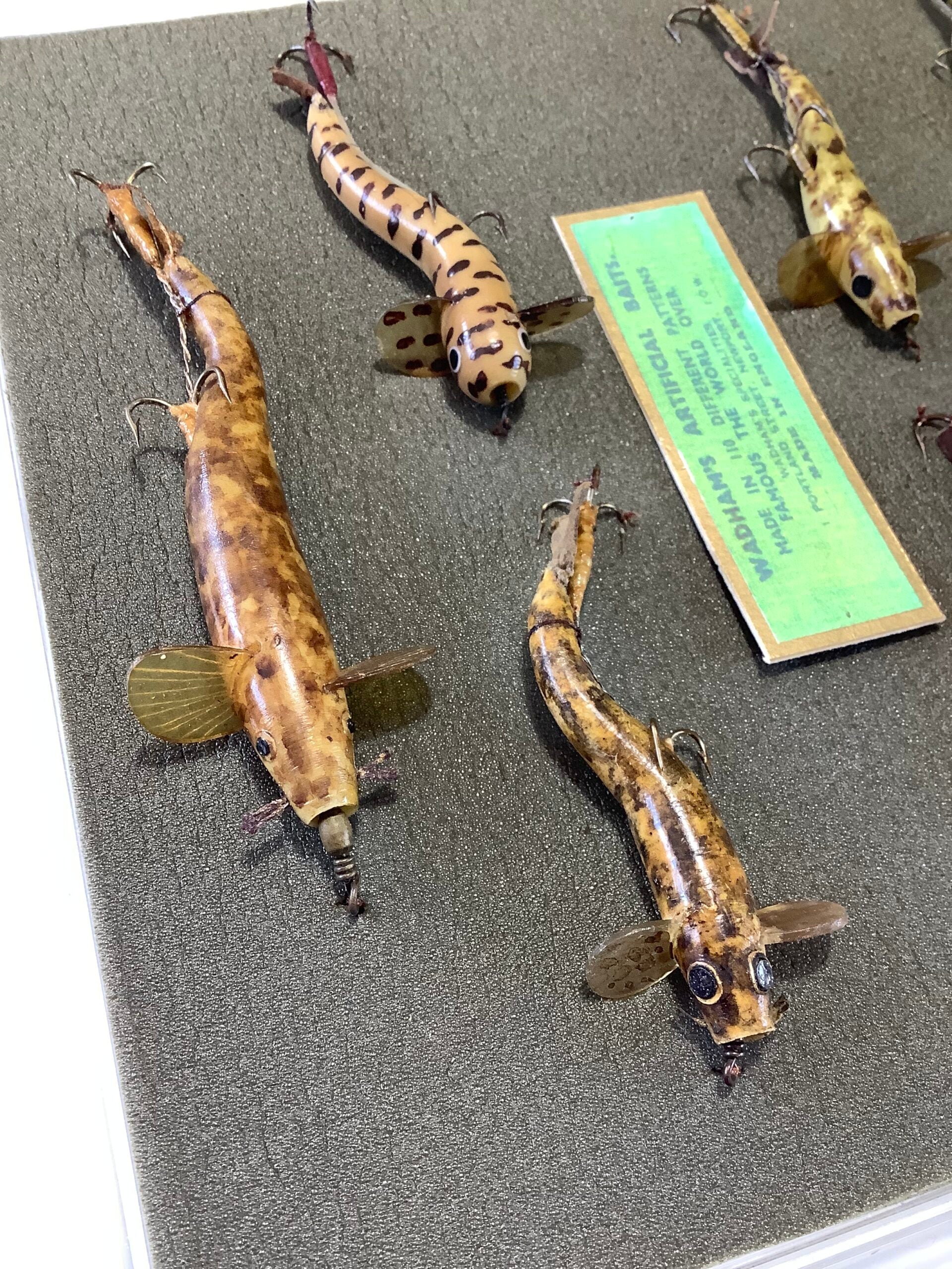 Antique Collection of PERCY WADHAMS “ Stone Loach “ Early carved Horn Versions