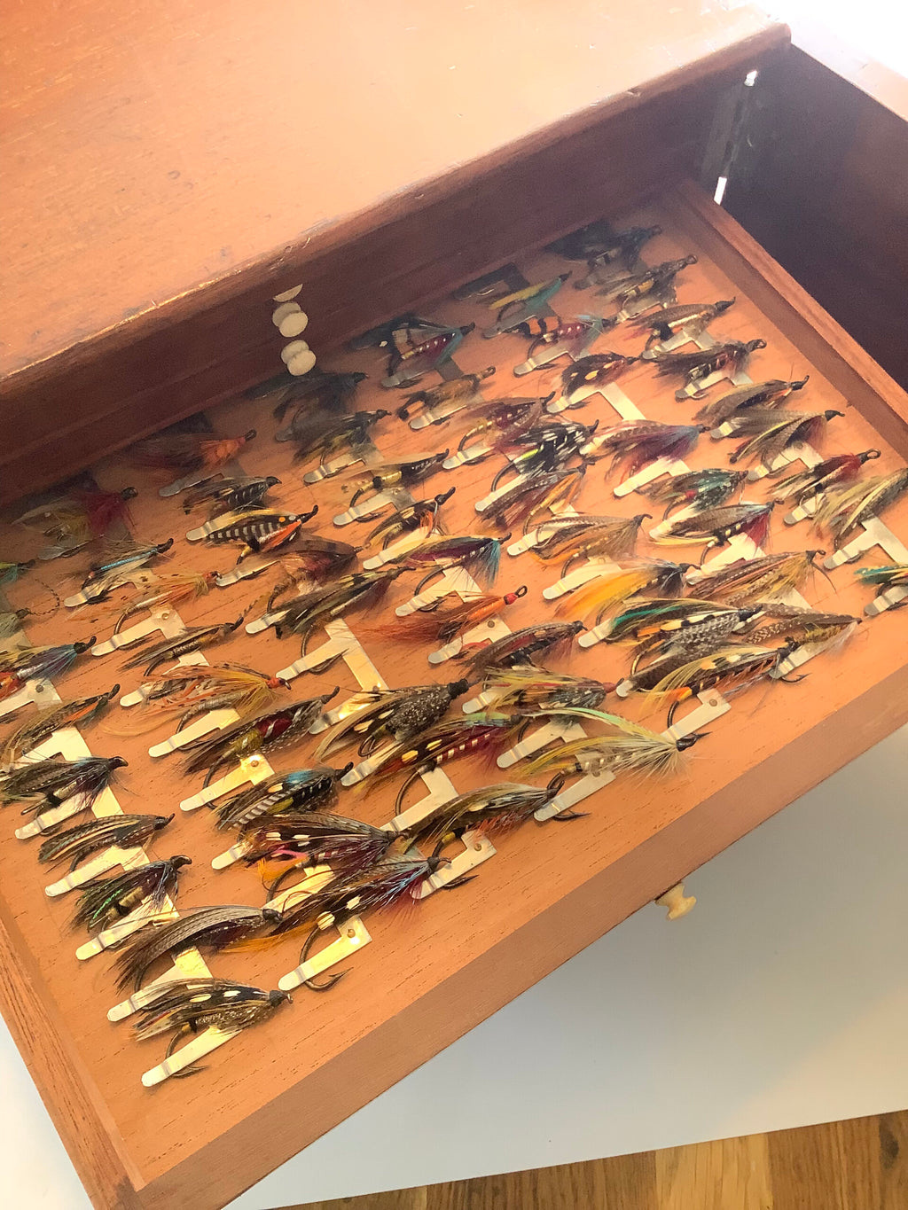 Very Rare Antique J.Bernard of London Fly Cabinet