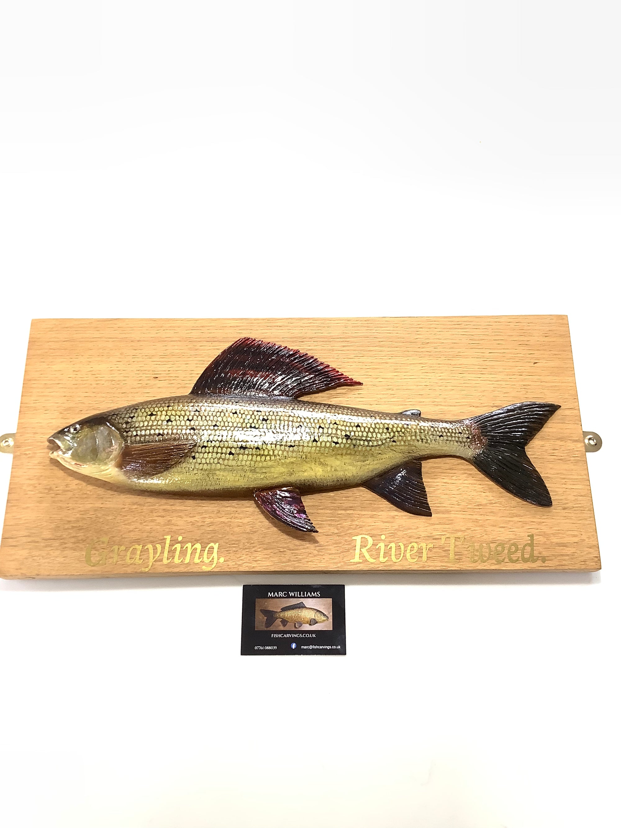 Beautiful Wood Carved Hand Painted GRAYLING By Leading Artist Marc Williams