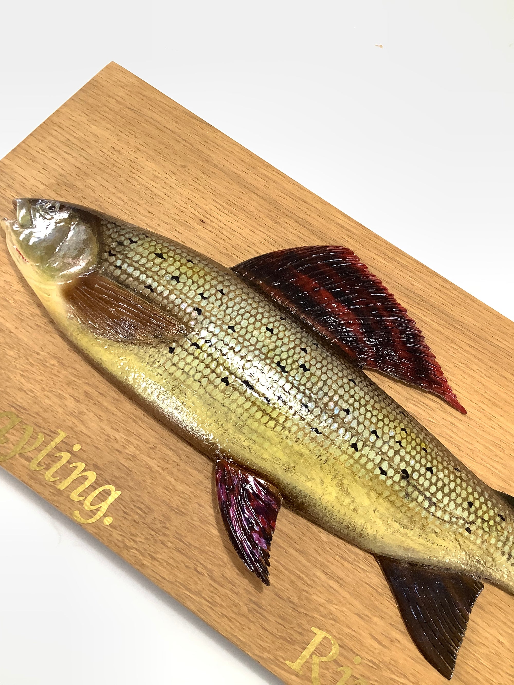 Beautiful Wood Carved Hand Painted GRAYLING By Leading Artist Marc Williams