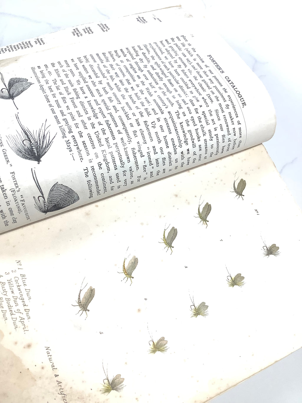 Rare Antique 1905 FOSTERS of Ashbourne Tackle Guide