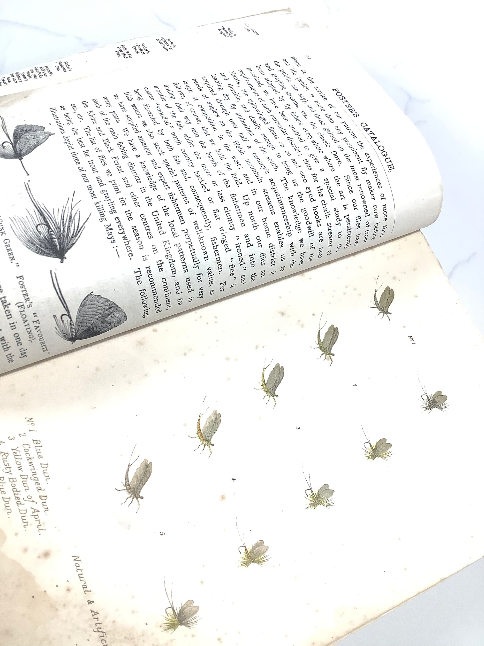 Rare Antique 1905 FOSTERS of Ashbourne Tackle Guide