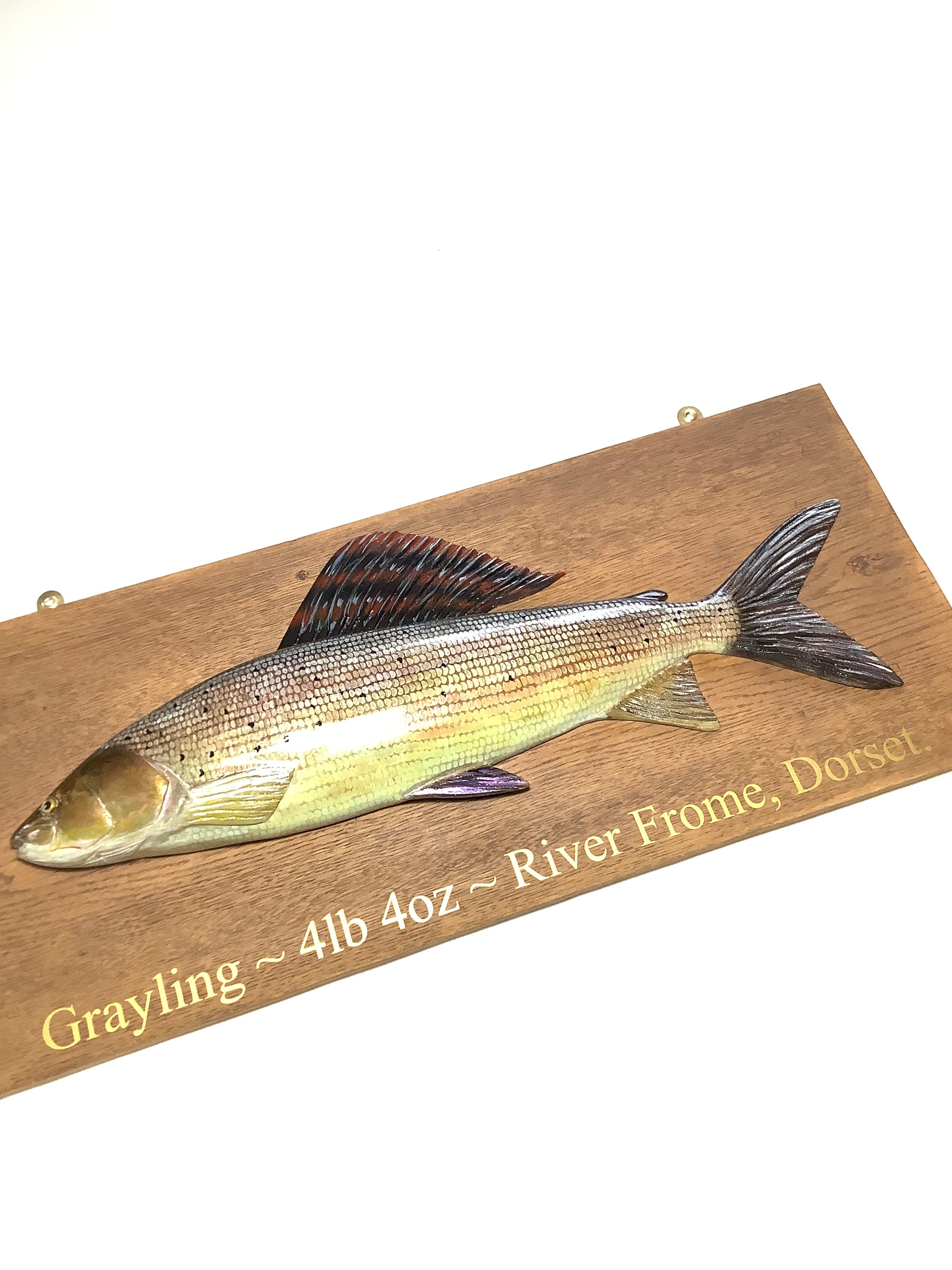 A Hand Carved & Painted RIVER FROME 4lb 4oz GRAYLING By Master Wood Carver/Artist MARC WILLIAMS