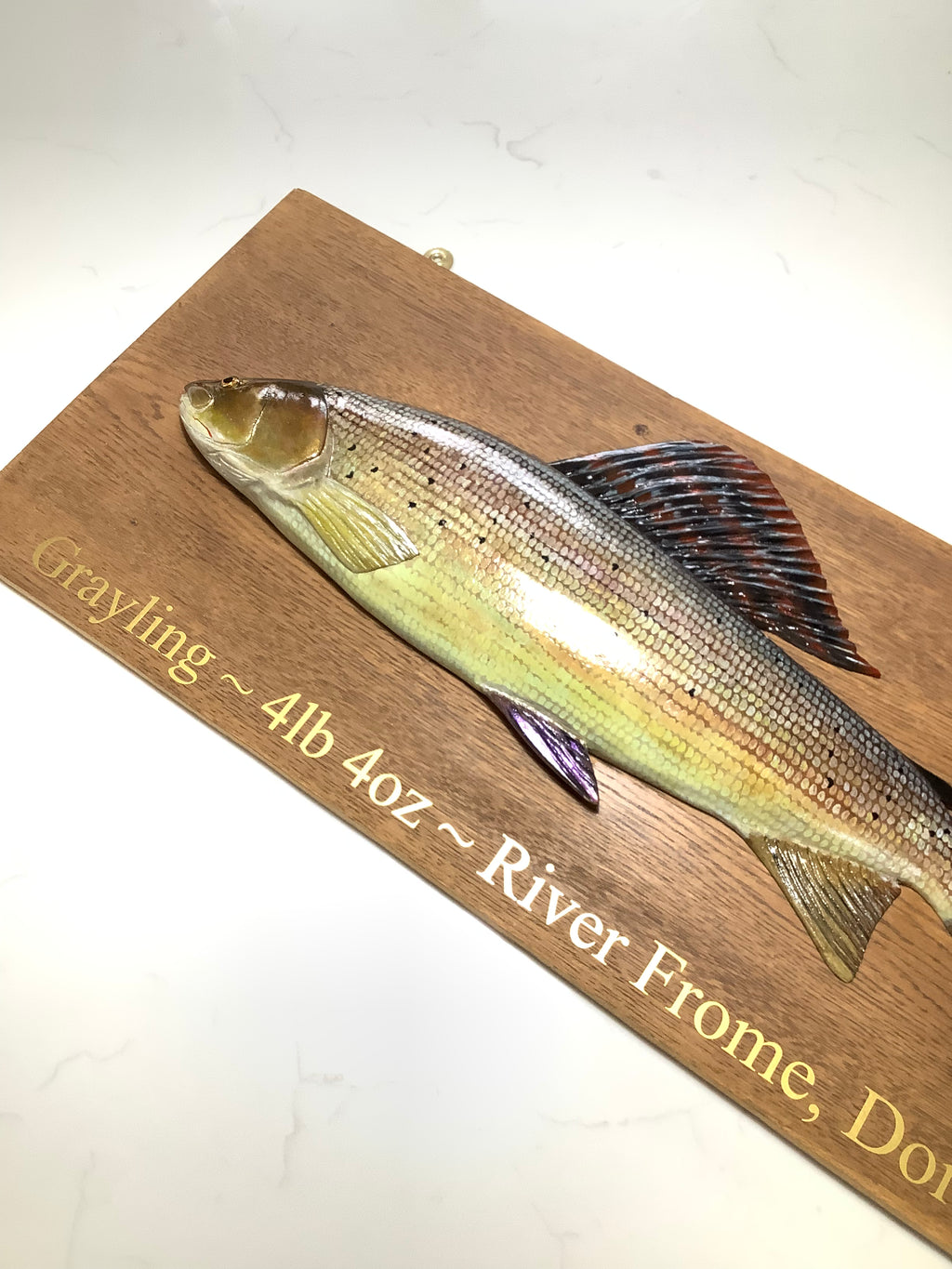 A Hand Carved & Painted RIVER FROME 4lb 4oz GRAYLING By Master Wood Carver/Artist MARC WILLIAMS