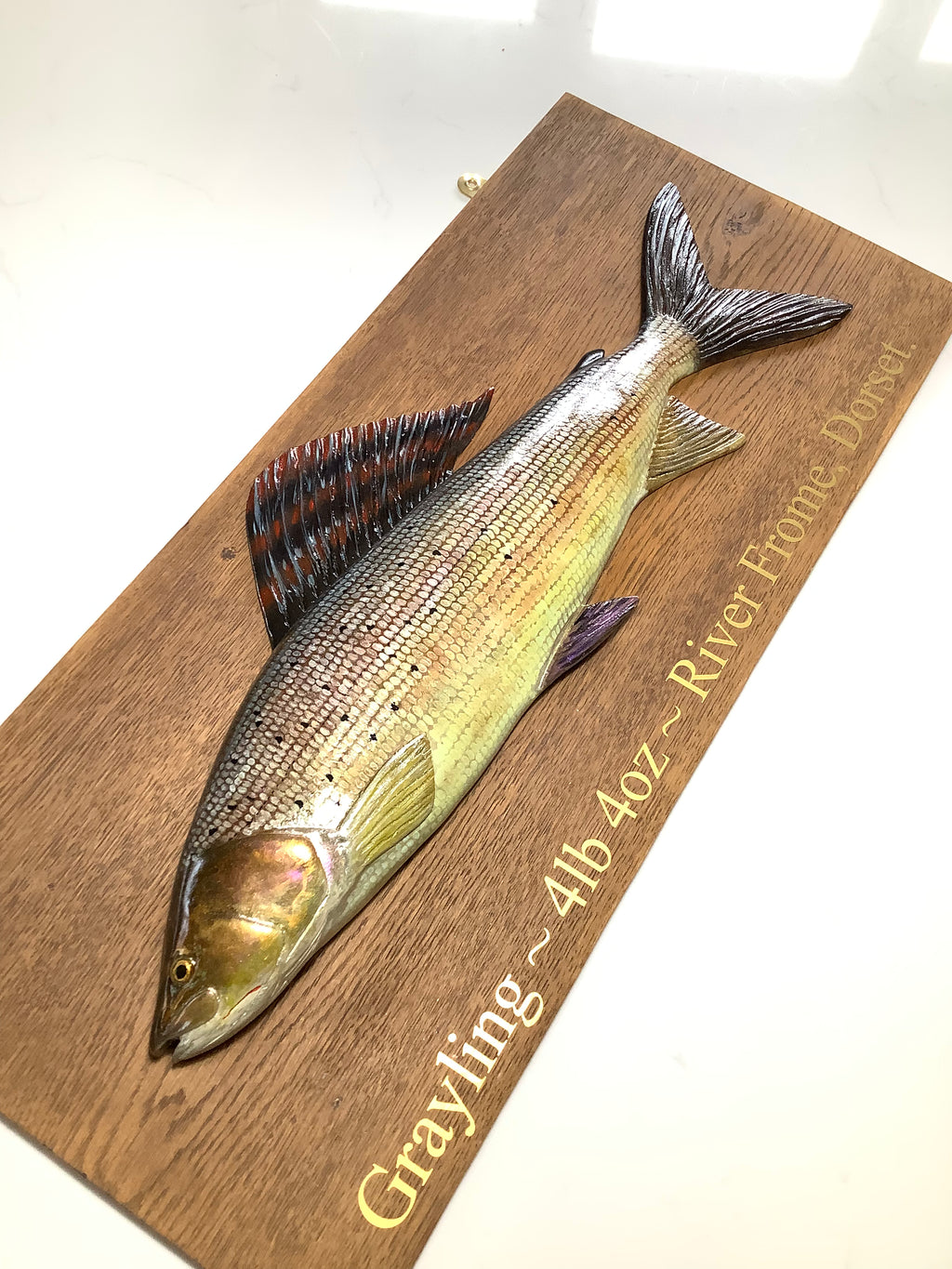 A Hand Carved & Painted RIVER FROME 4lb 4oz GRAYLING By Master Wood Carver/Artist MARC WILLIAMS