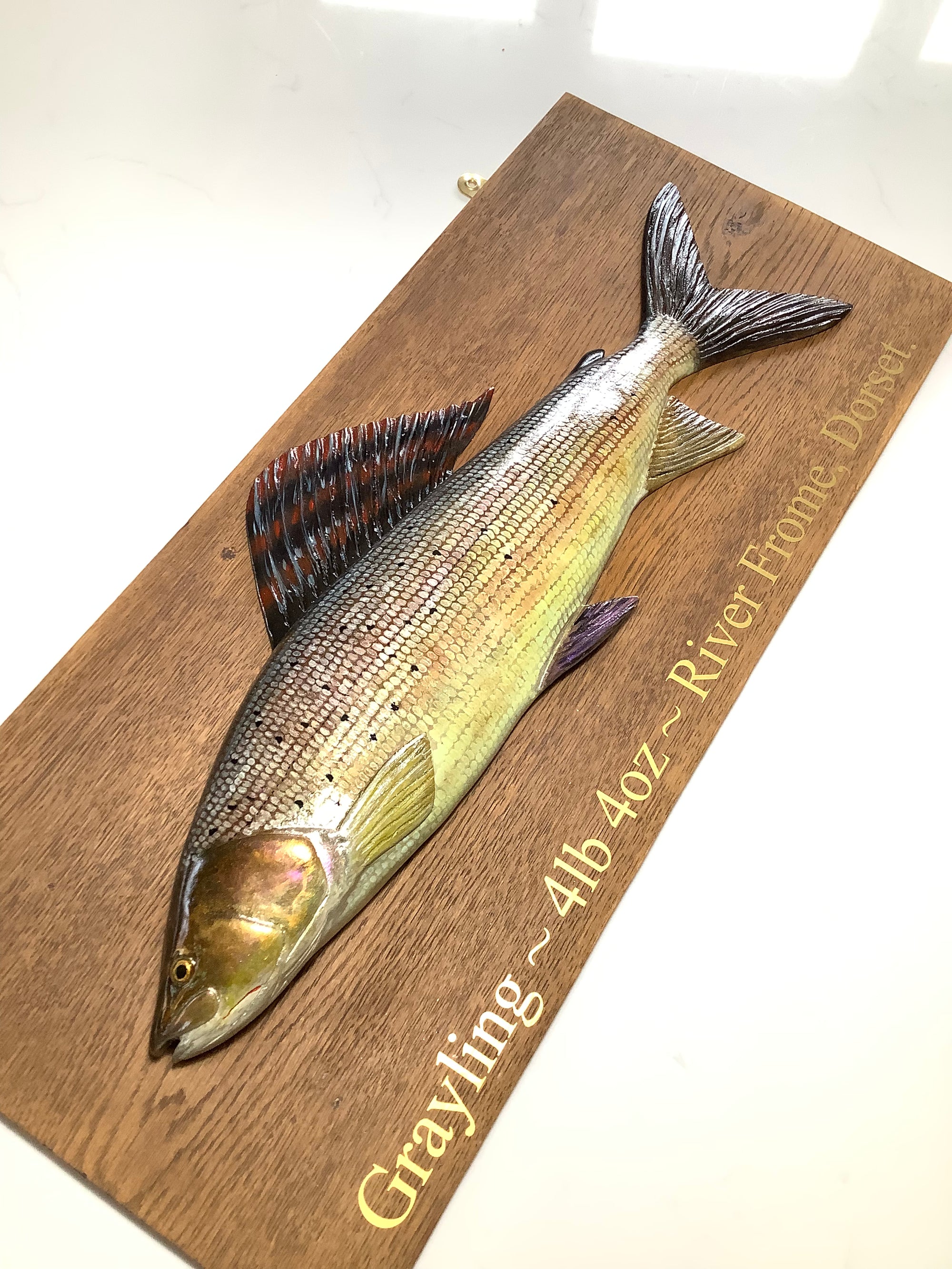 A Hand Carved & Painted RIVER FROME 4lb 4oz GRAYLING By Master Wood Carver/Artist MARC WILLIAMS