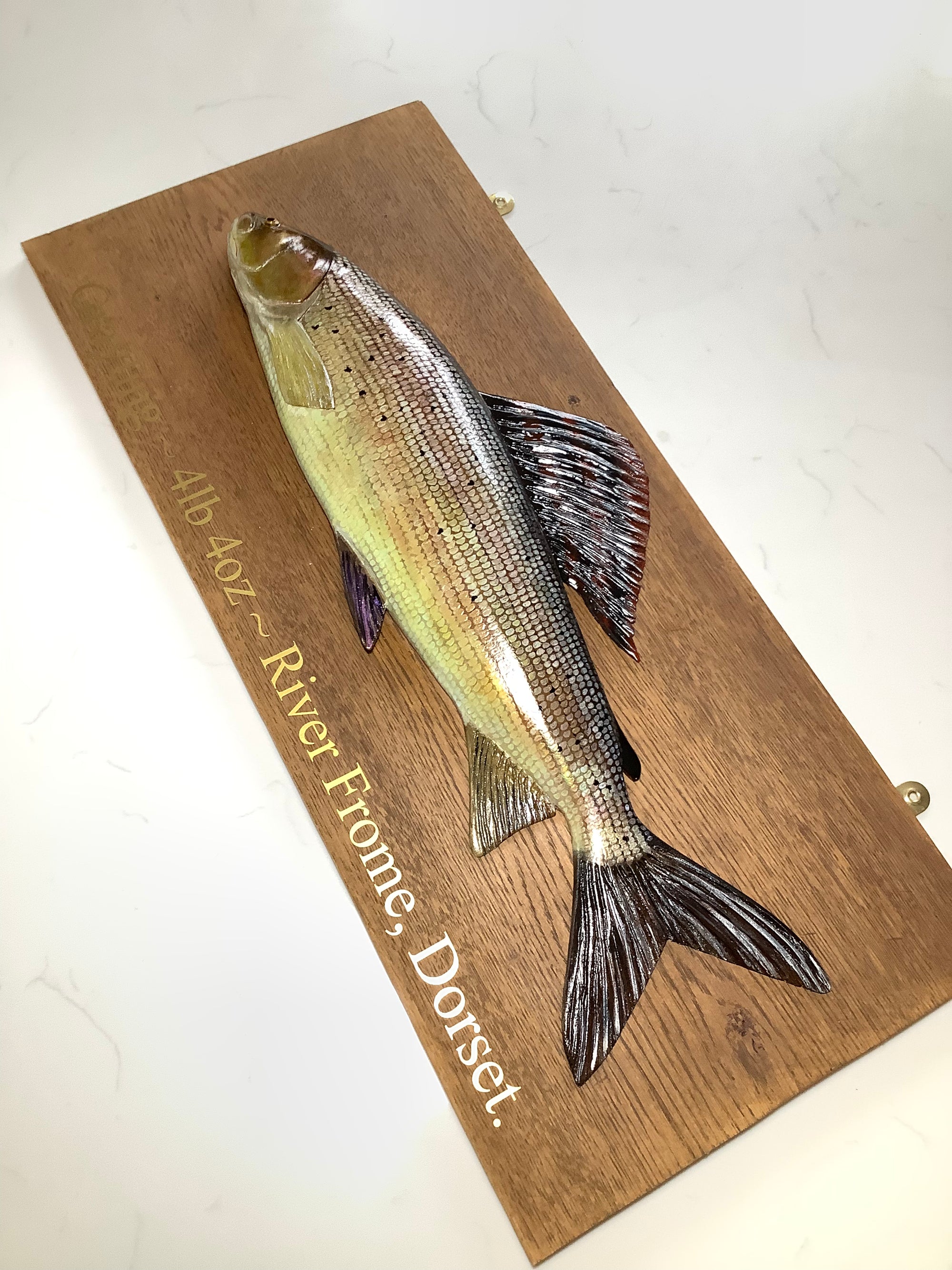 A Hand Carved & Painted RIVER FROME 4lb 4oz GRAYLING By Master Wood Carver/Artist MARC WILLIAMS