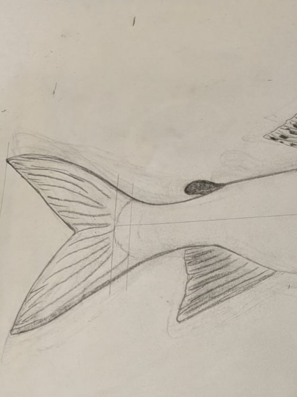 A Hand Carved & Painted RIVER FROME 4lb 4oz GRAYLING By Master Wood Carver/Artist MARC WILLIAMS