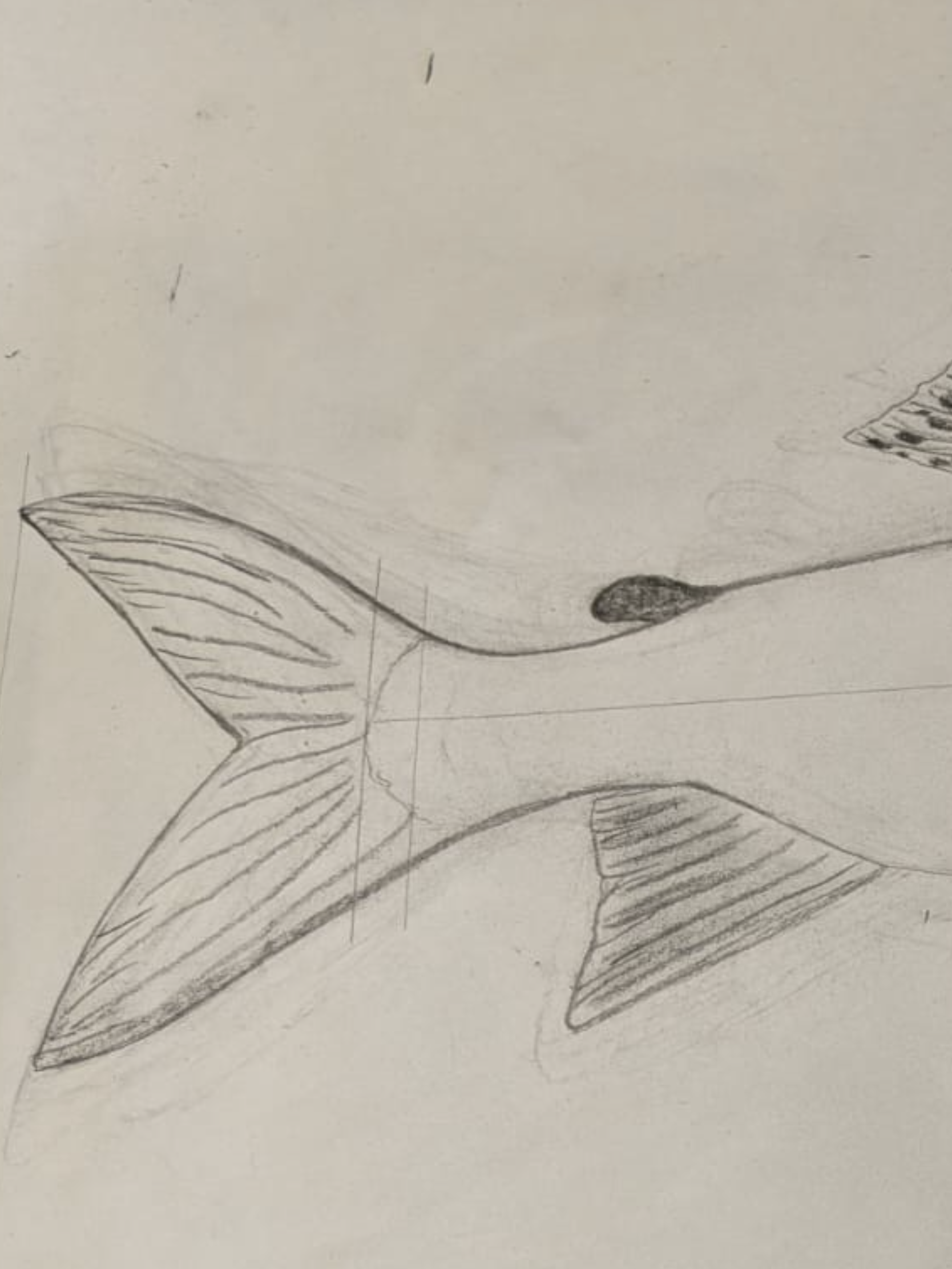 A Hand Carved & Painted RIVER FROME 4lb 4oz GRAYLING By Master Wood Carver/Artist MARC WILLIAMS