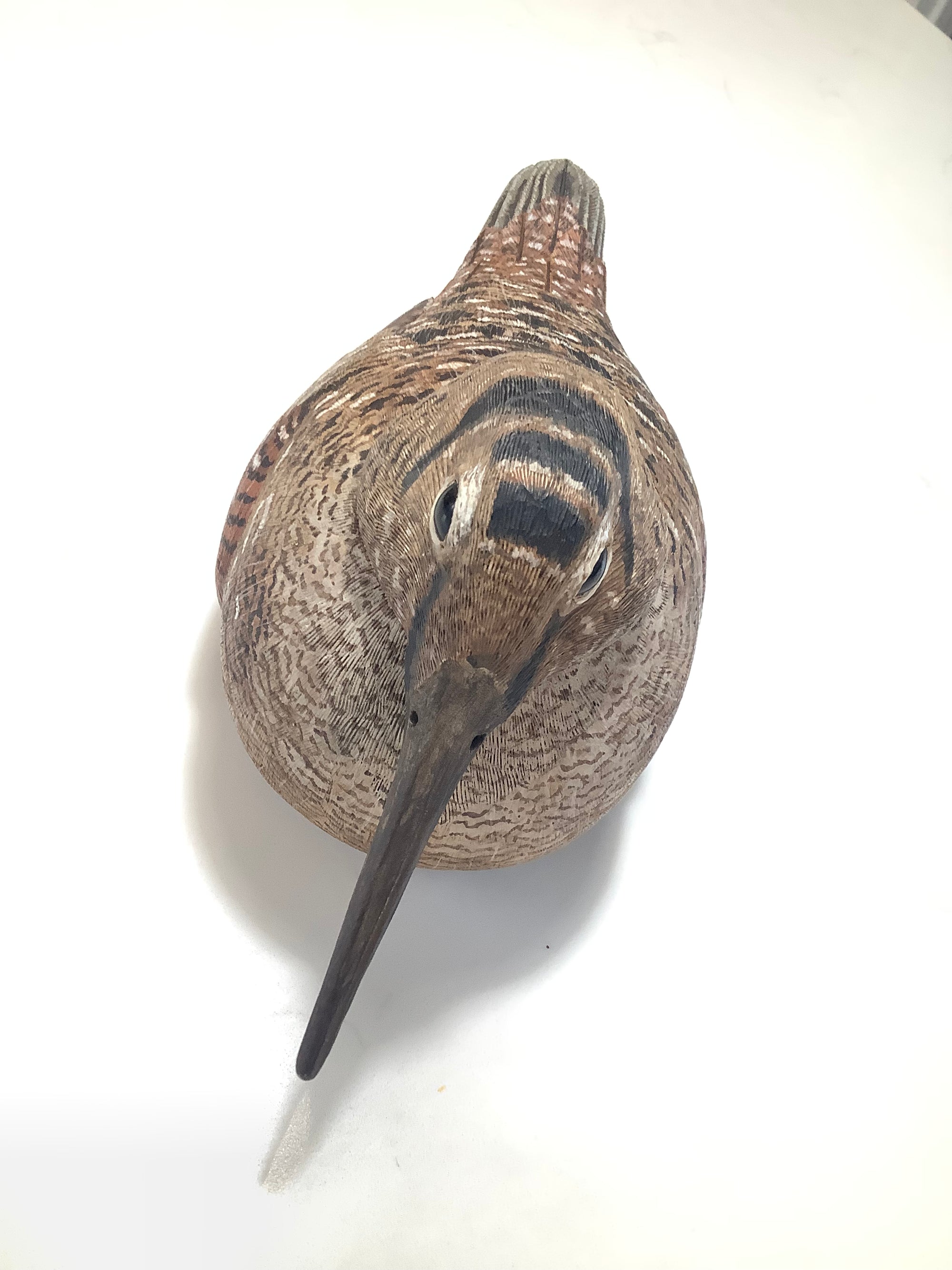 Stunning Hand Carved & Painted Woodcock By Award Winning Wood Carver COLIN CLARK